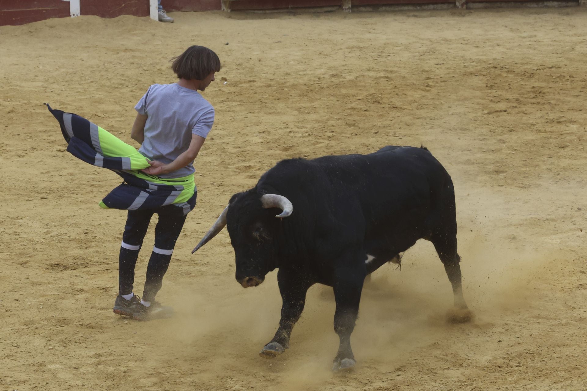 Encierro urbano, vaca del cajón y capea de Nava del Rey
