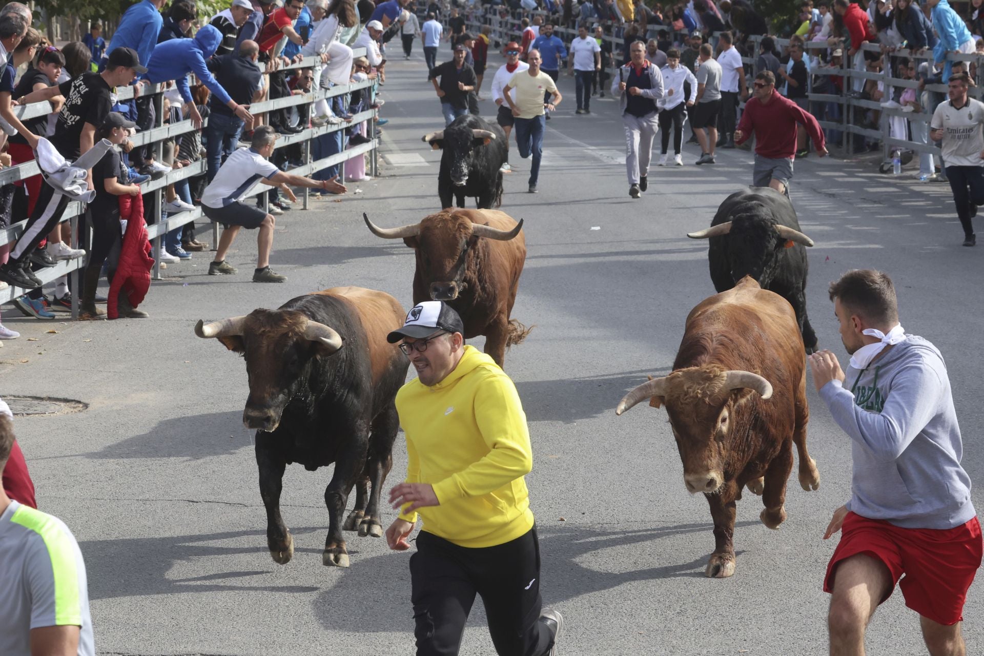 Las imágenes del encierro de este lunes en Medina del Campo