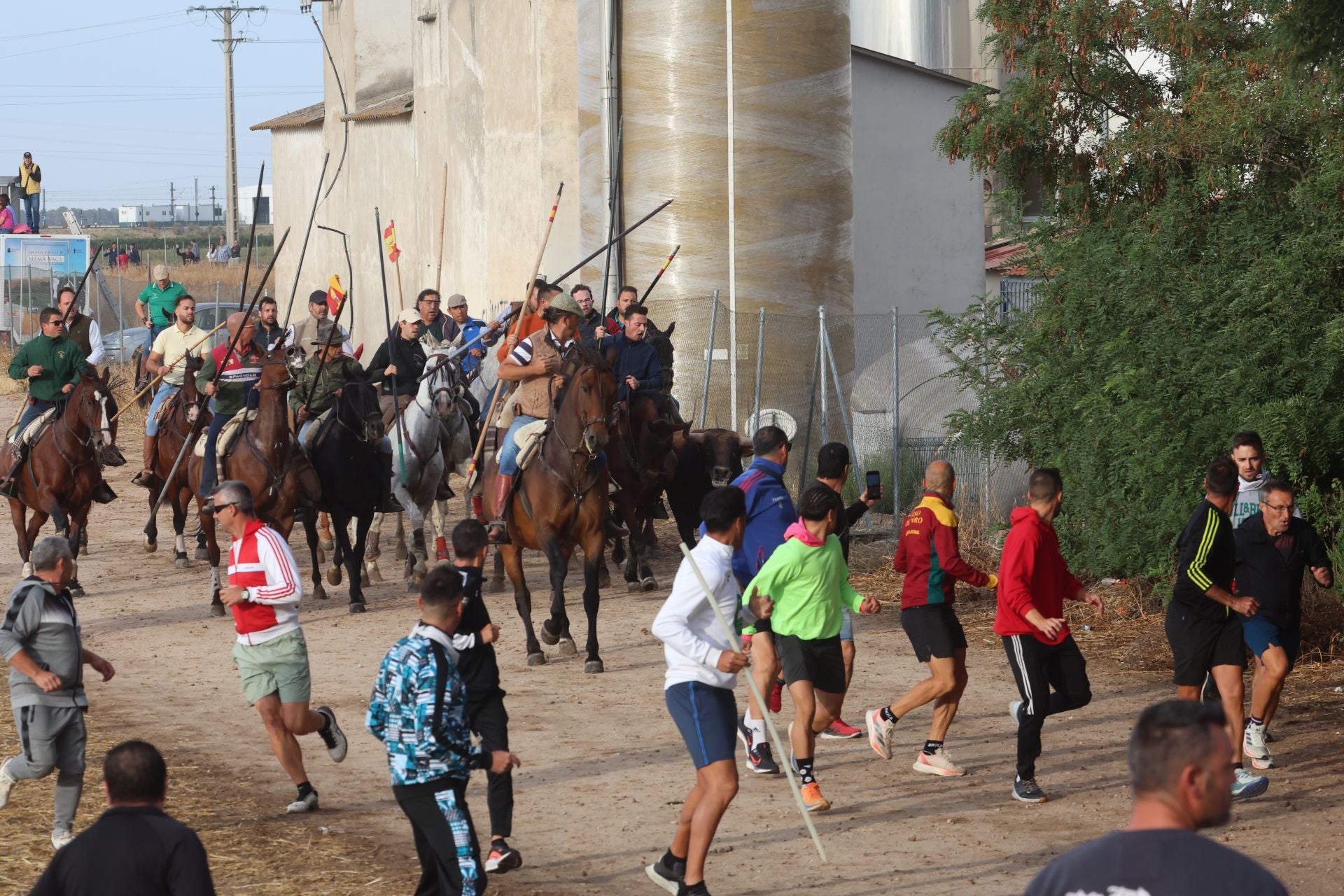 Las imágenes del encierro de este lunes en Medina del Campo