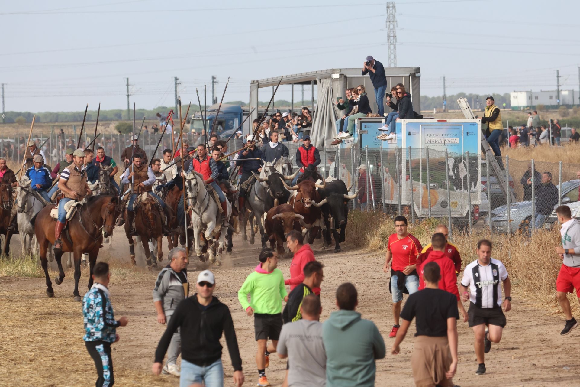 Las imágenes del encierro de este lunes en Medina del Campo