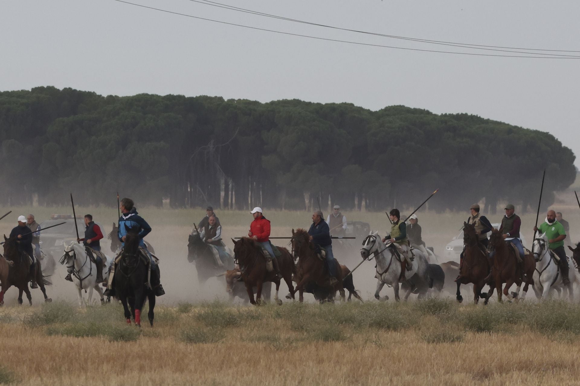 Las imágenes del encierro de este lunes en Medina del Campo