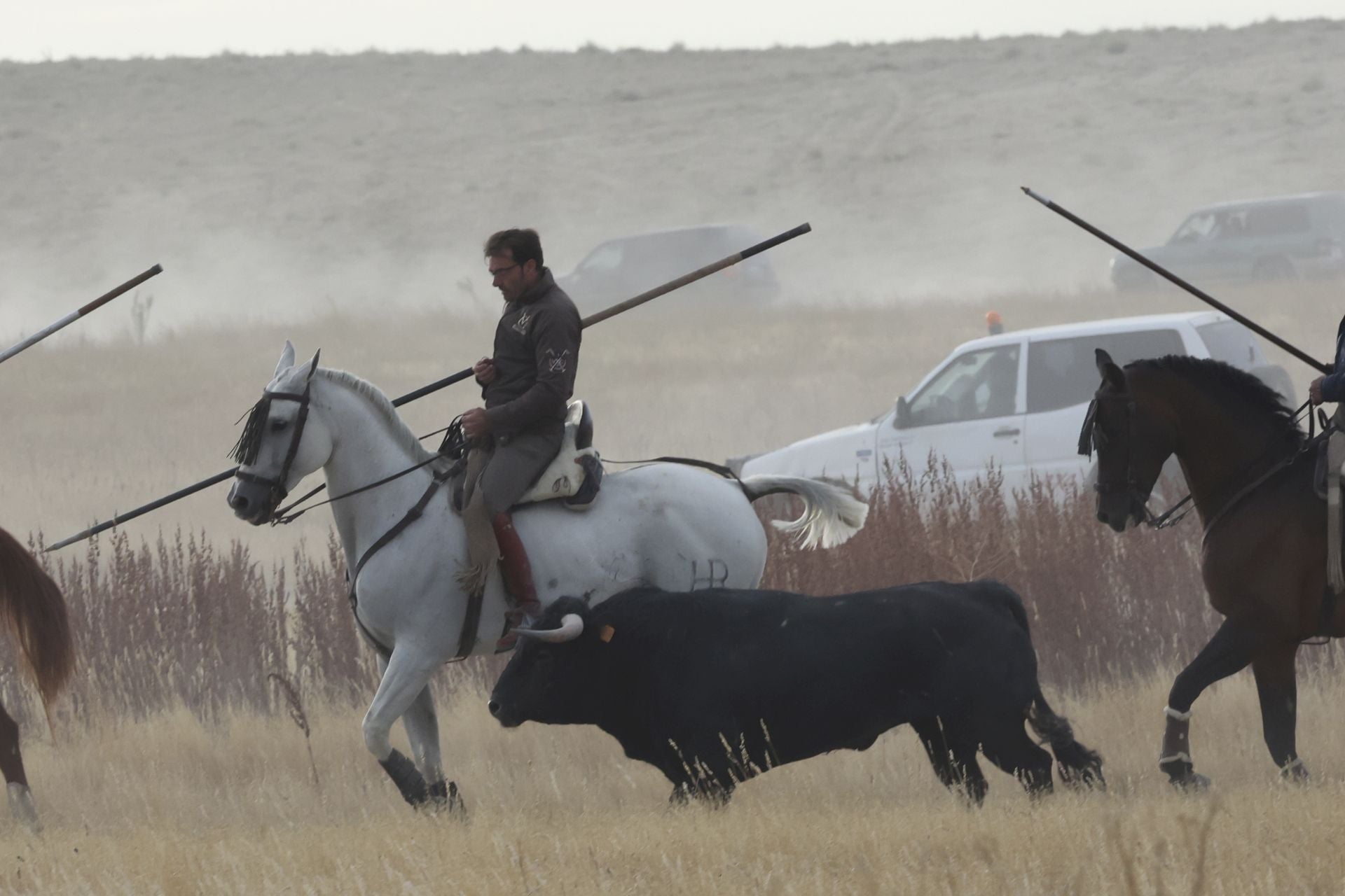 Las imágenes del encierro de este lunes en Medina del Campo