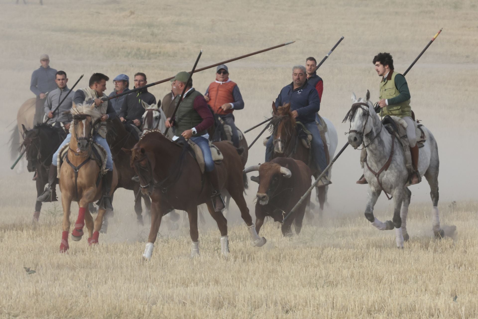 Las imágenes del encierro de este lunes en Medina del Campo
