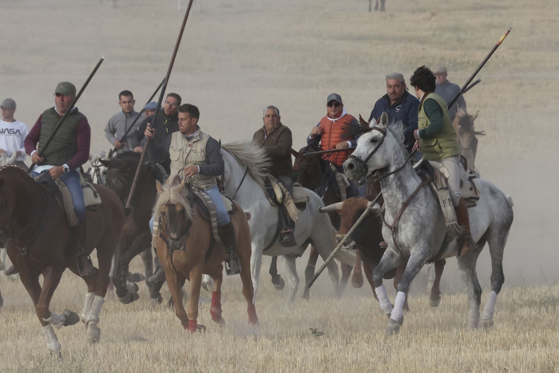 Las imágenes del encierro de este lunes en Medina del Campo