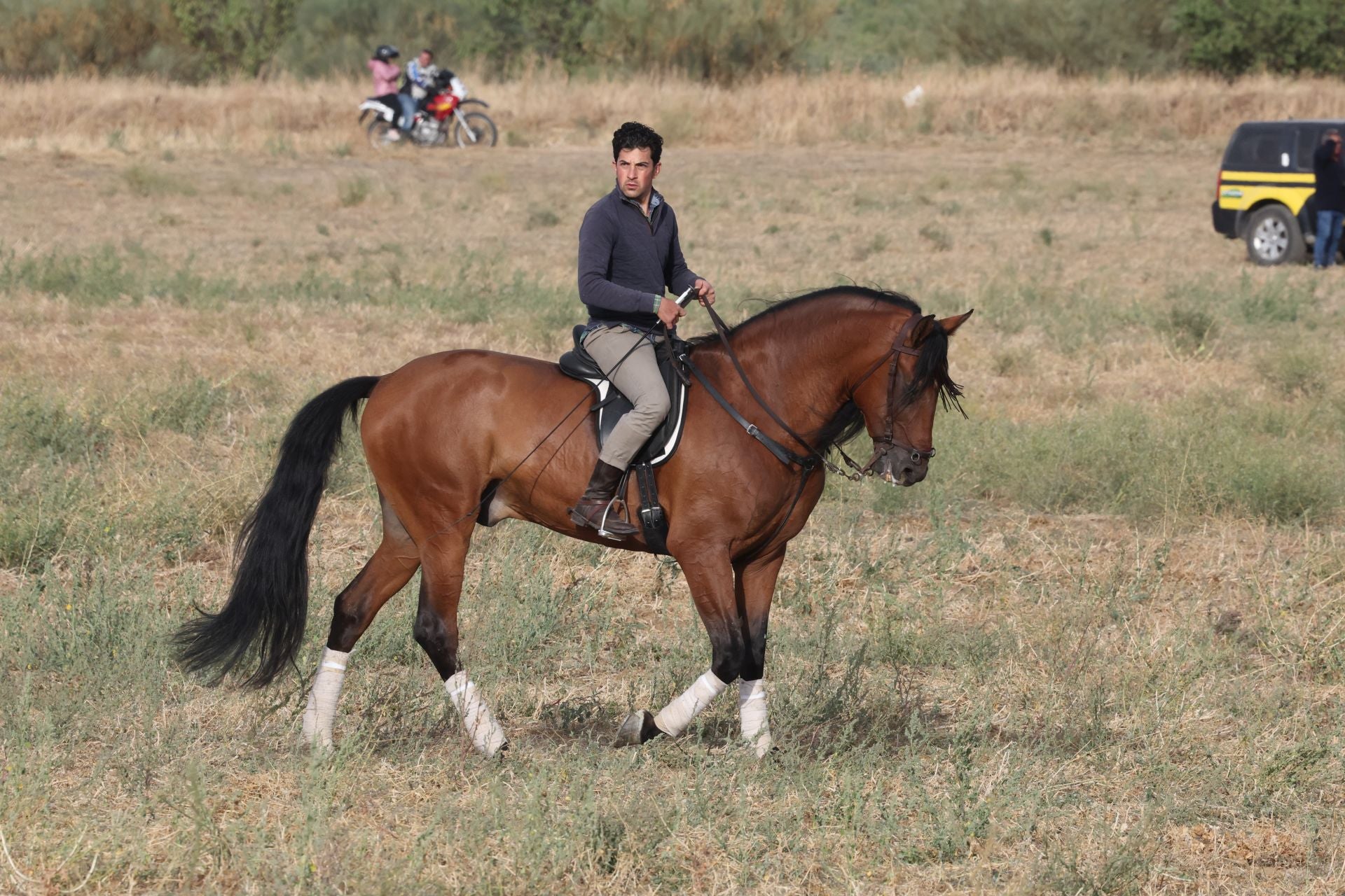 Las imágenes del encierro de este lunes en Medina del Campo