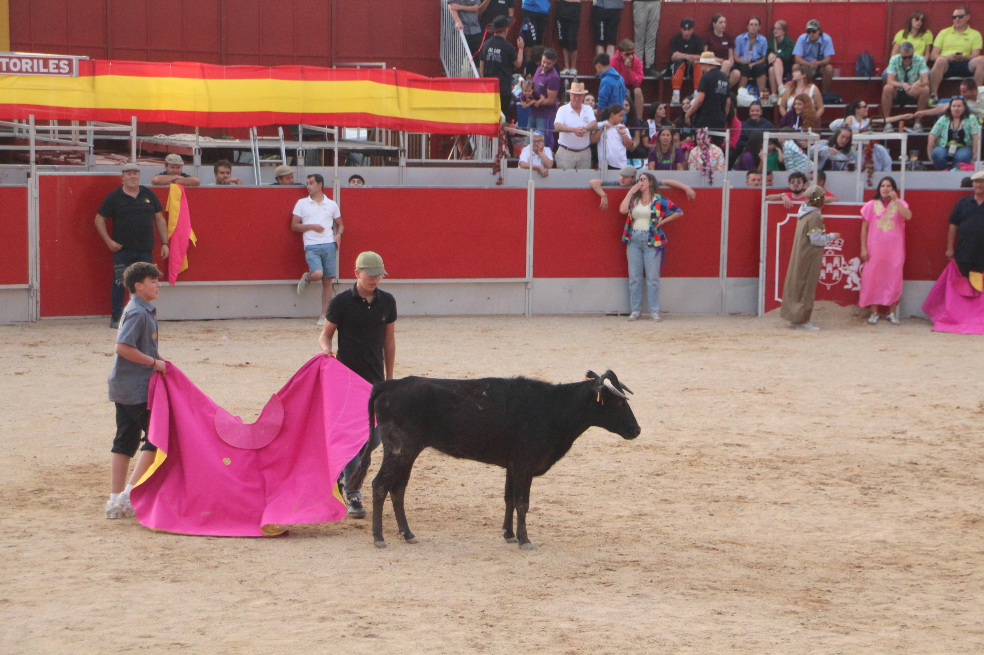 Festejos Taurinos en Baltanás