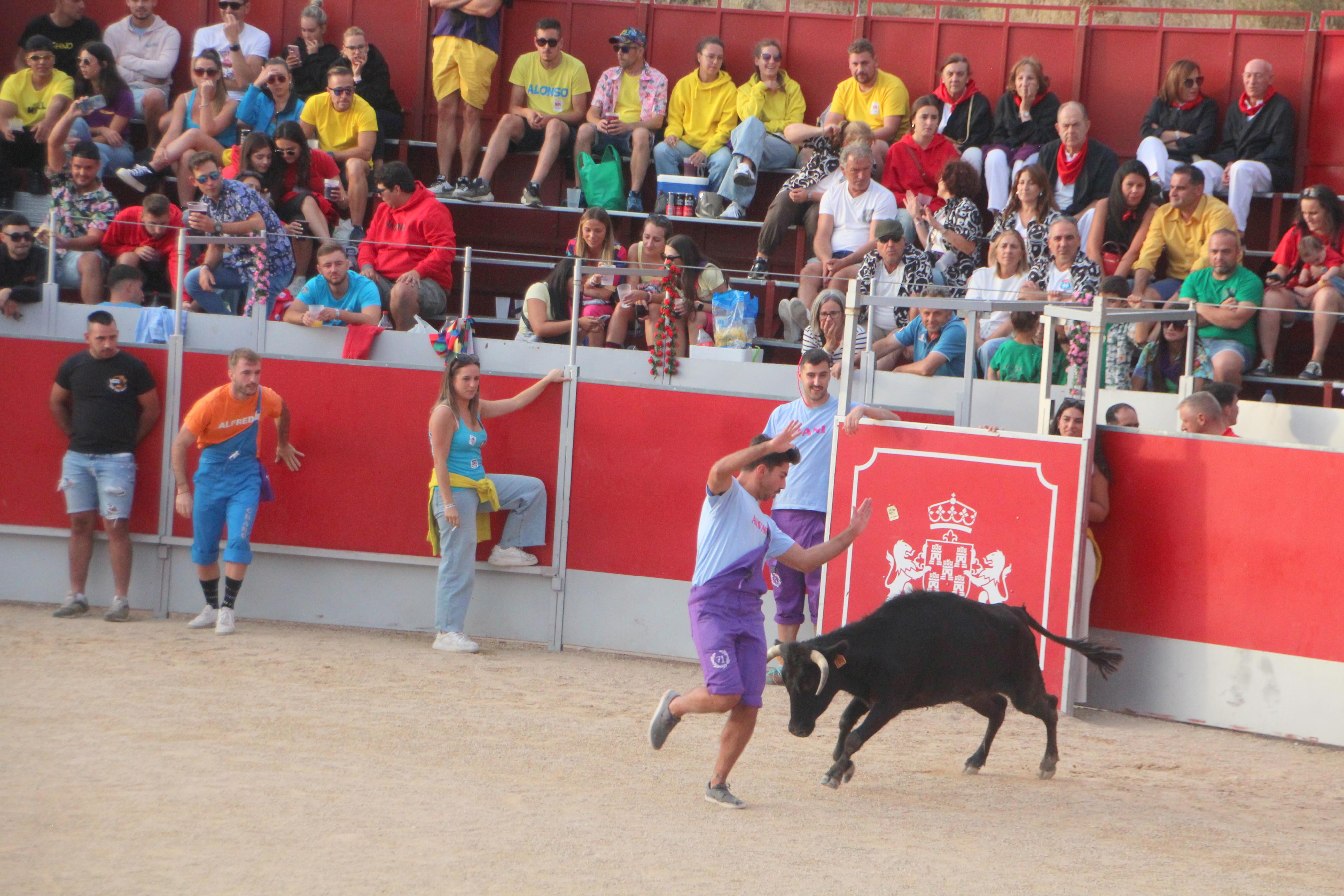 Festejos Taurinos en Baltanás