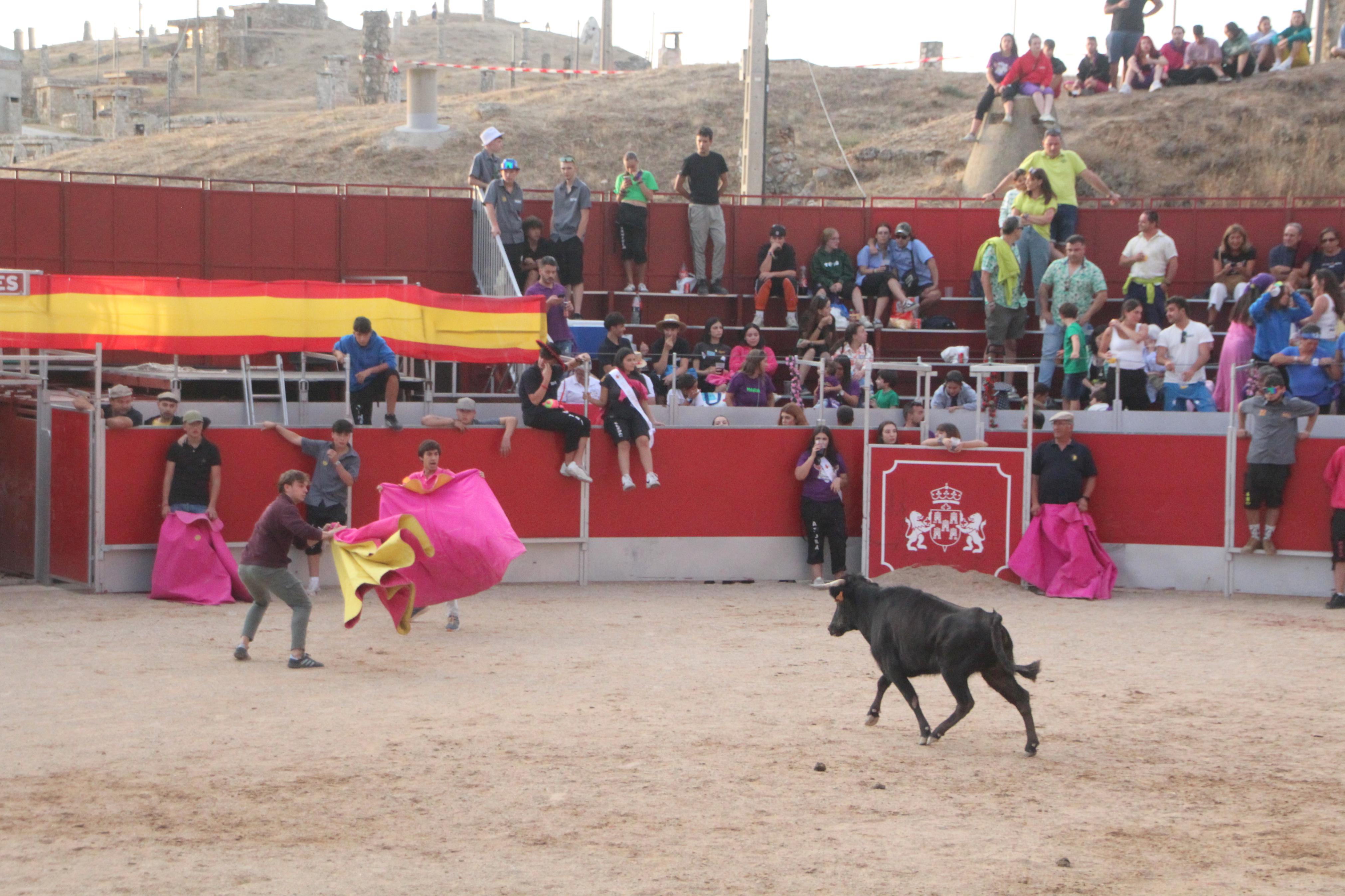Festejos Taurinos en Baltanás