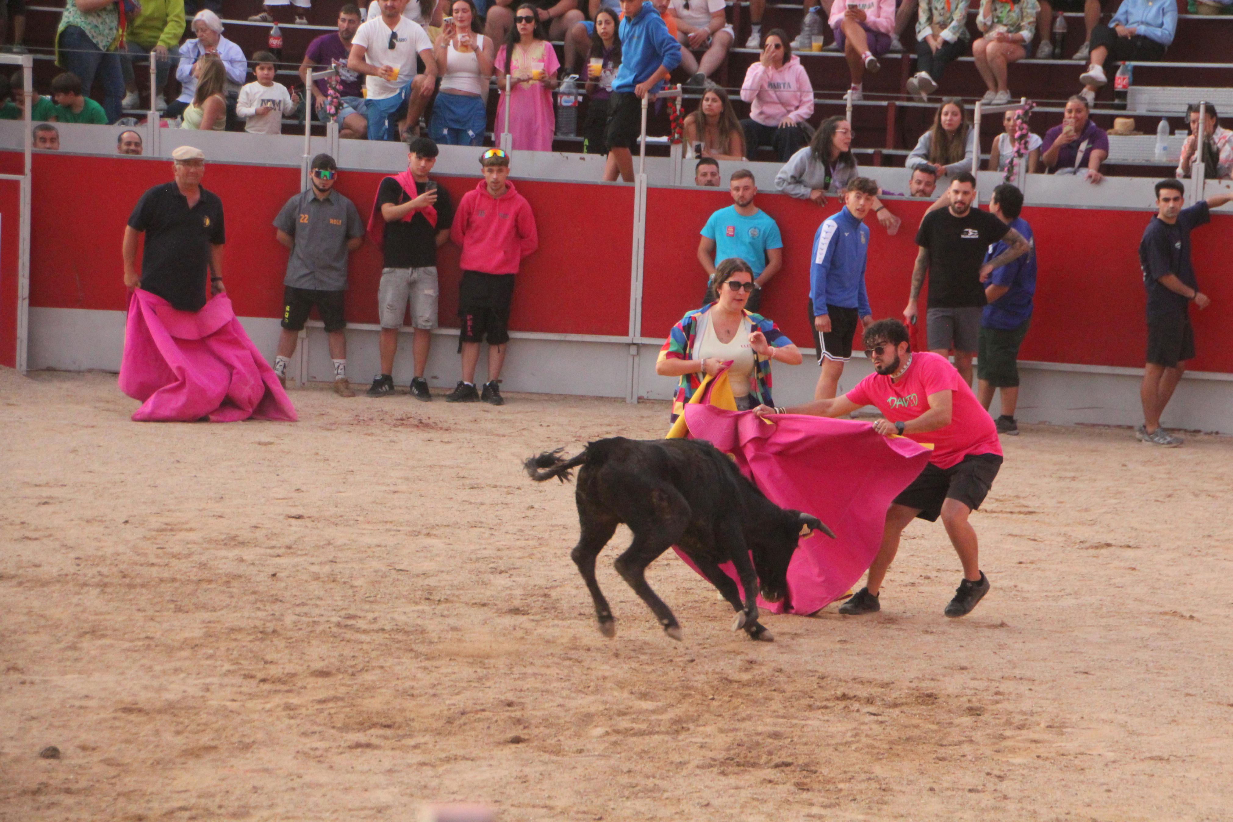 Festejos Taurinos en Baltanás