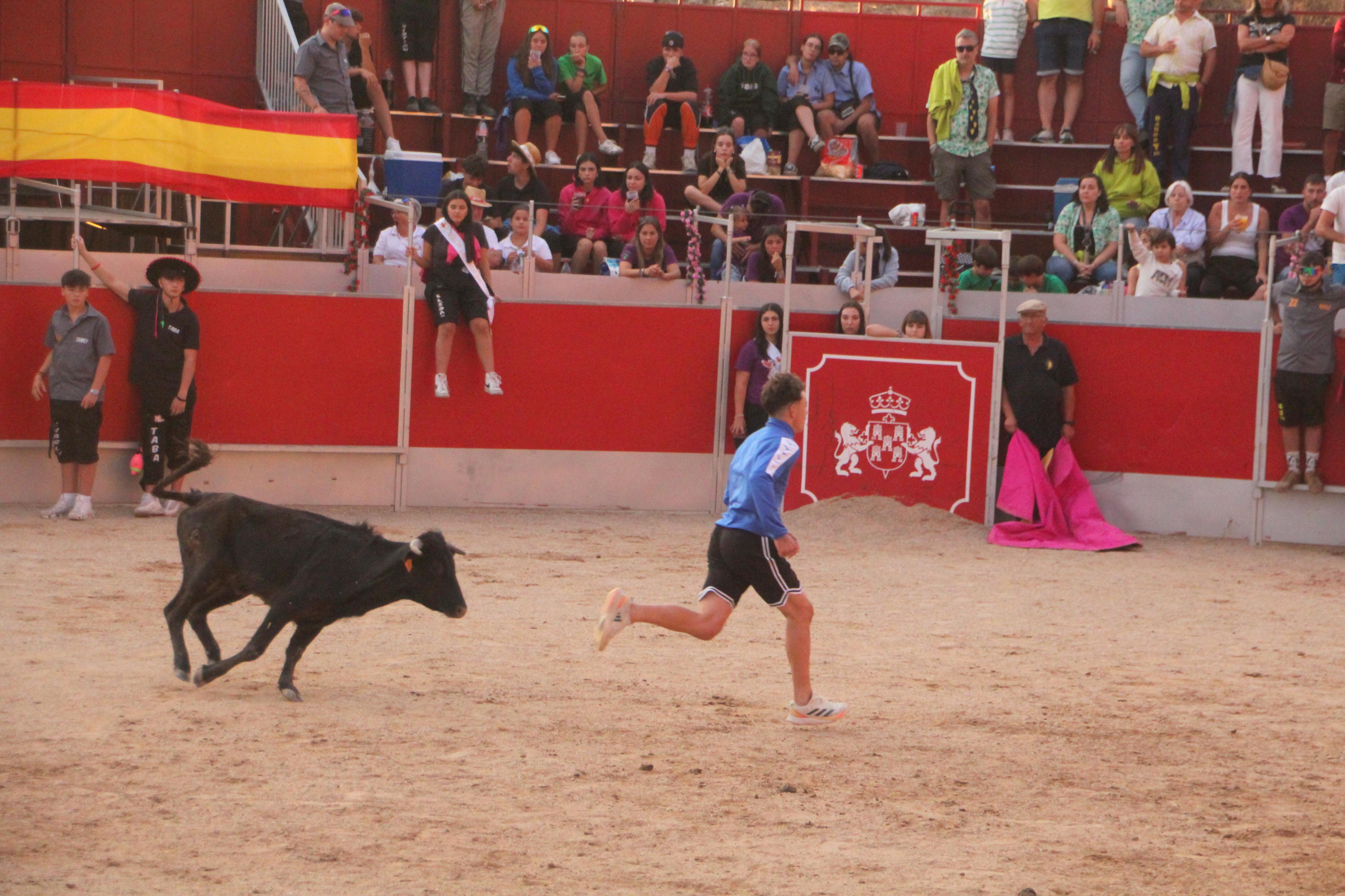 Festejos Taurinos en Baltanás