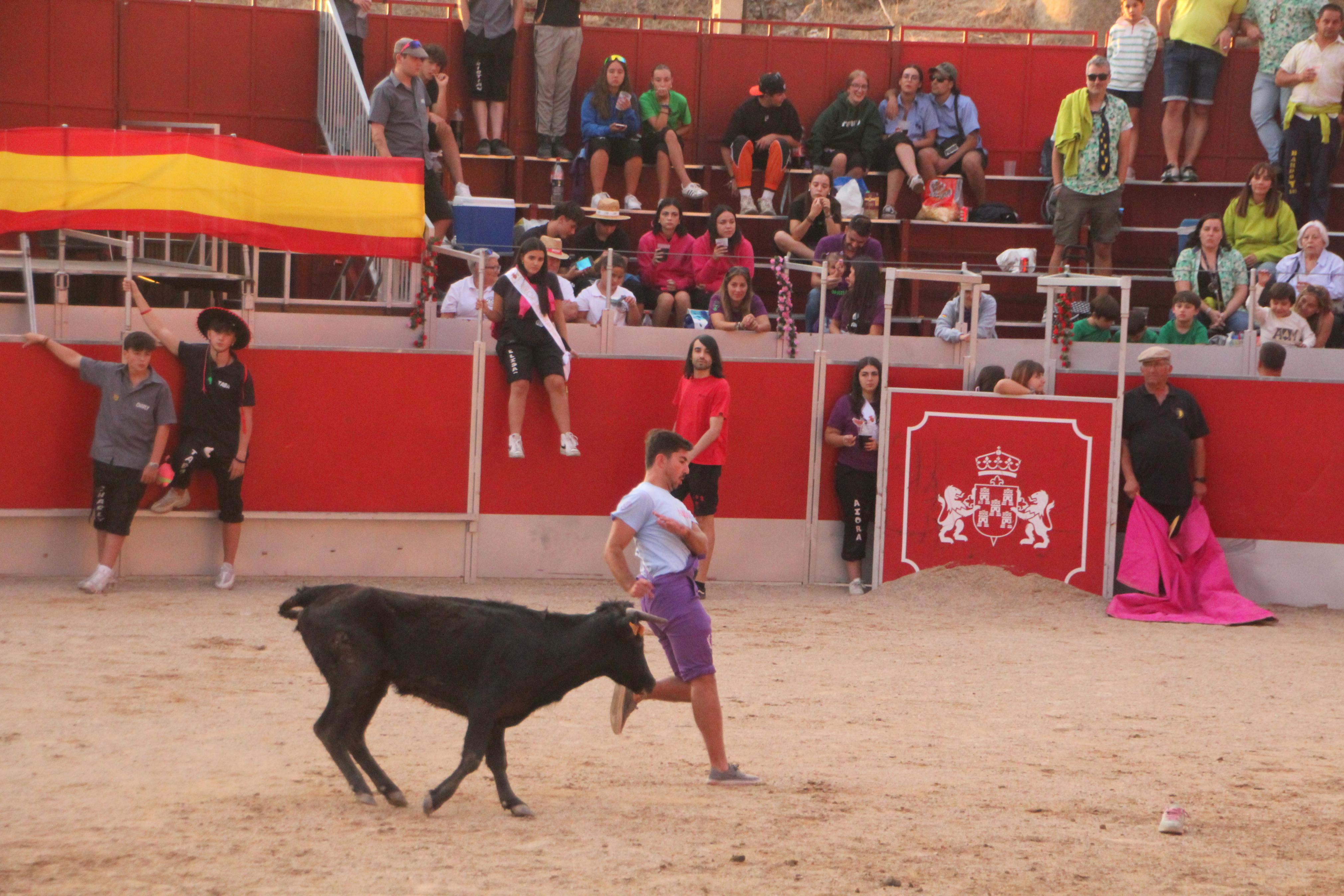 Festejos Taurinos en Baltanás
