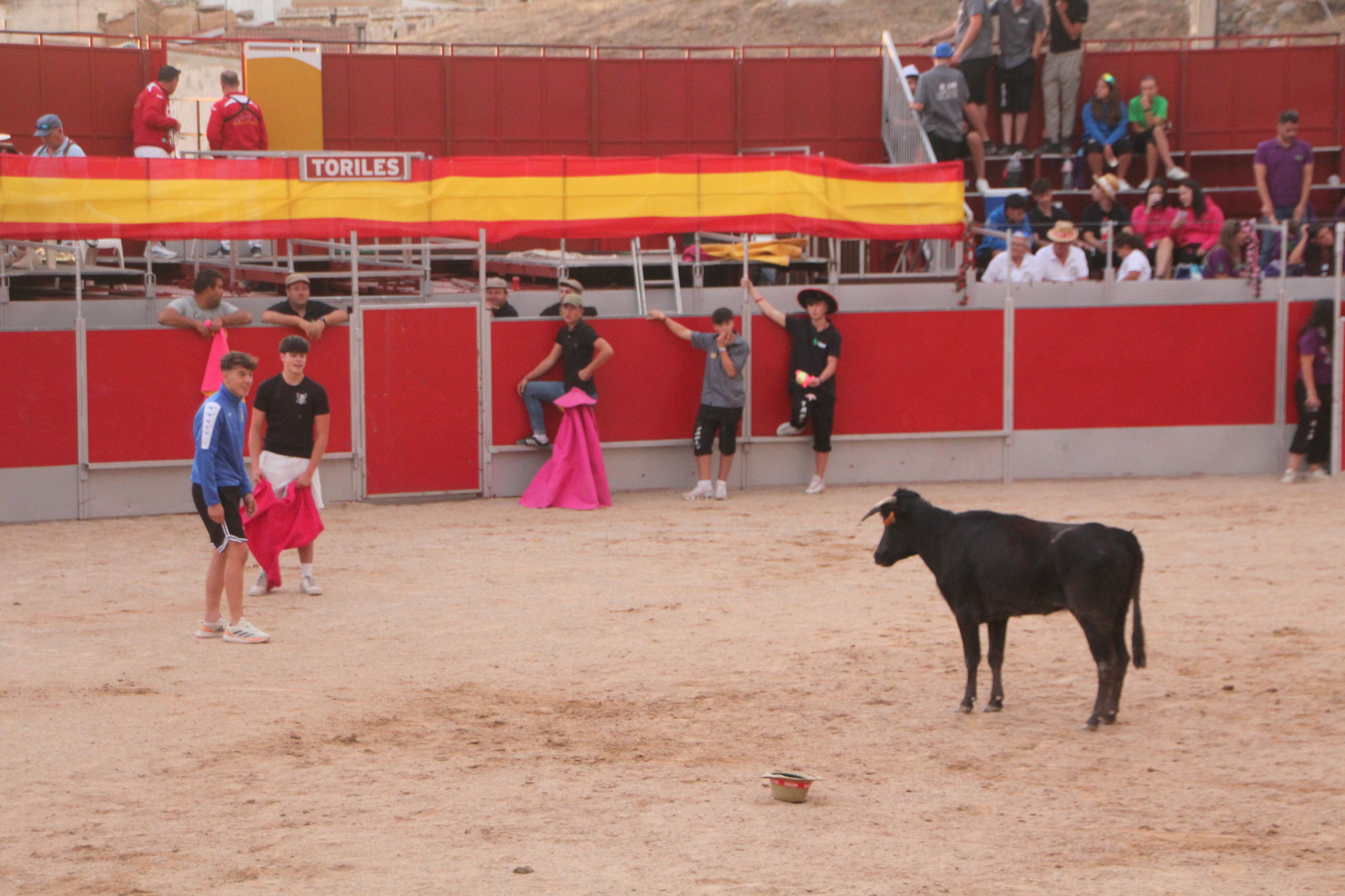 Festejos Taurinos en Baltanás