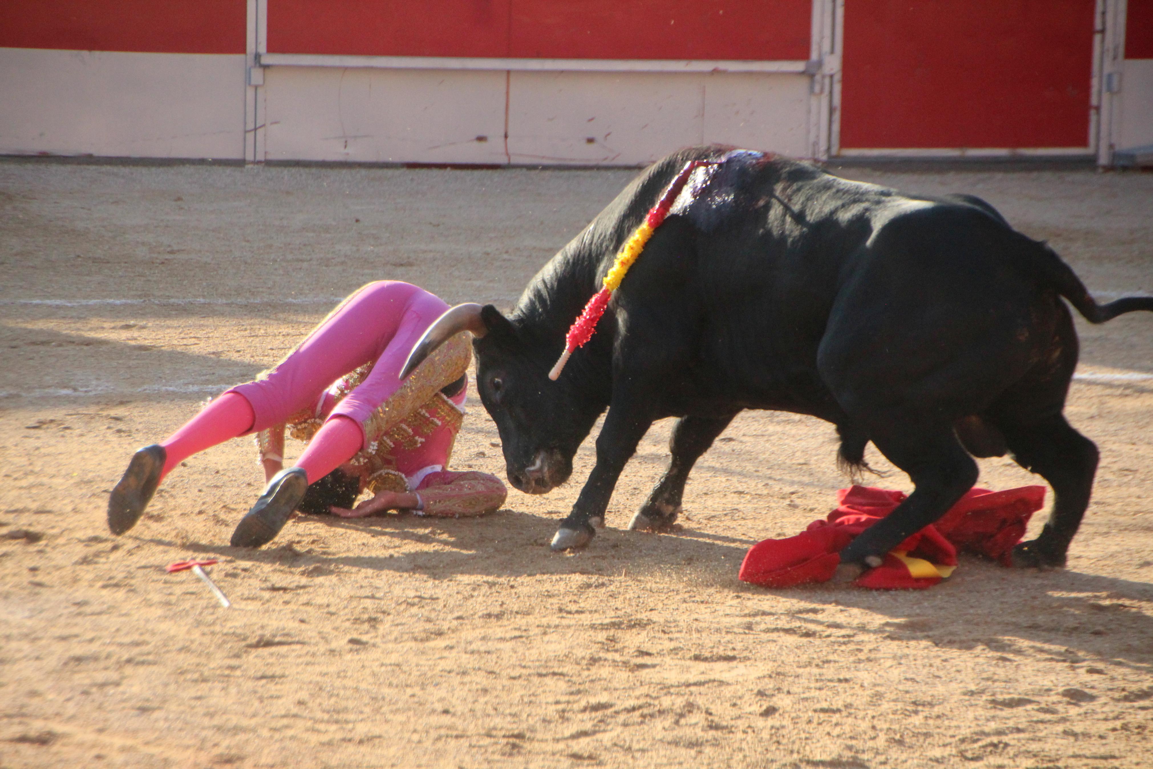 Festejos Taurinos en Baltanás