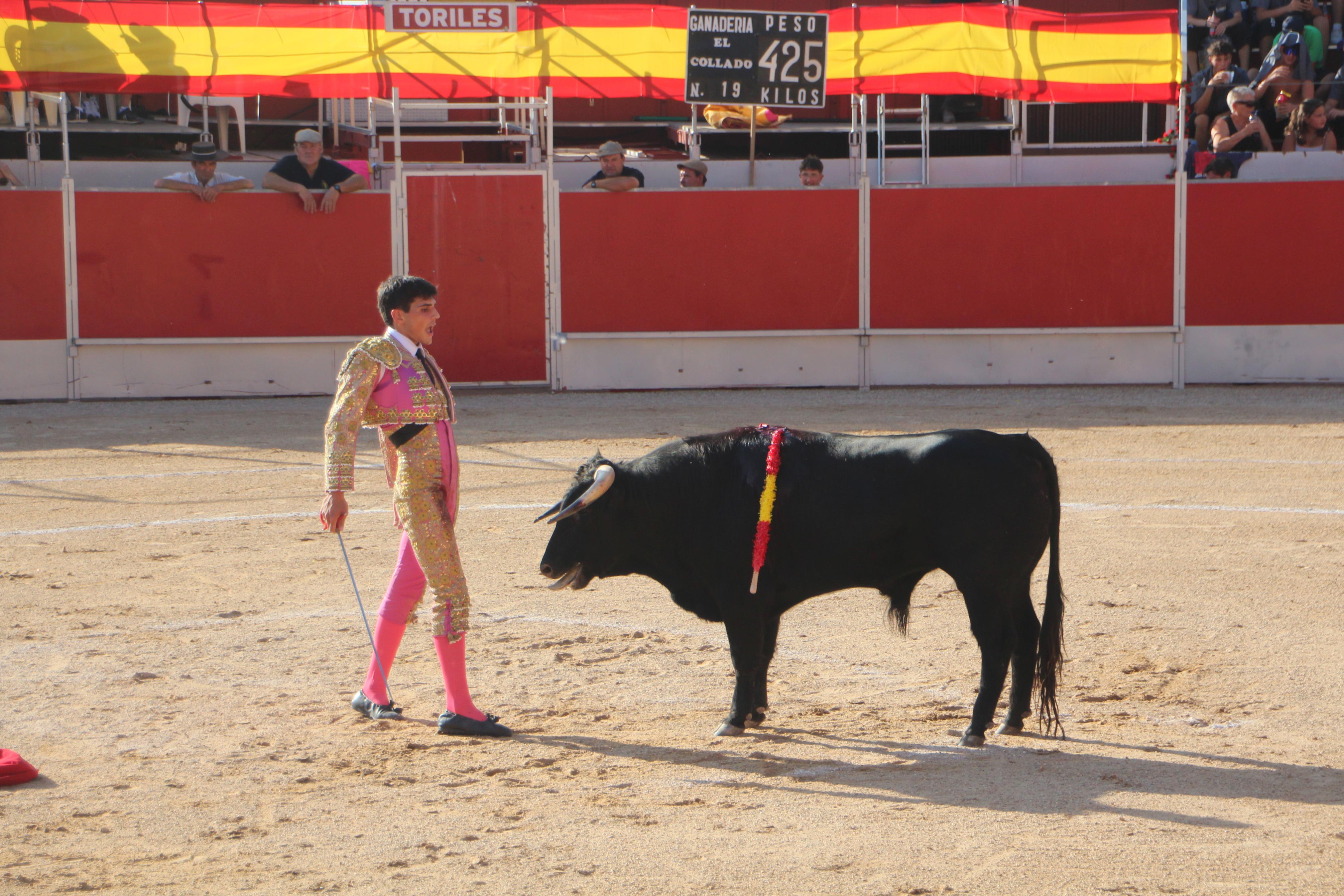 Festejos Taurinos en Baltanás