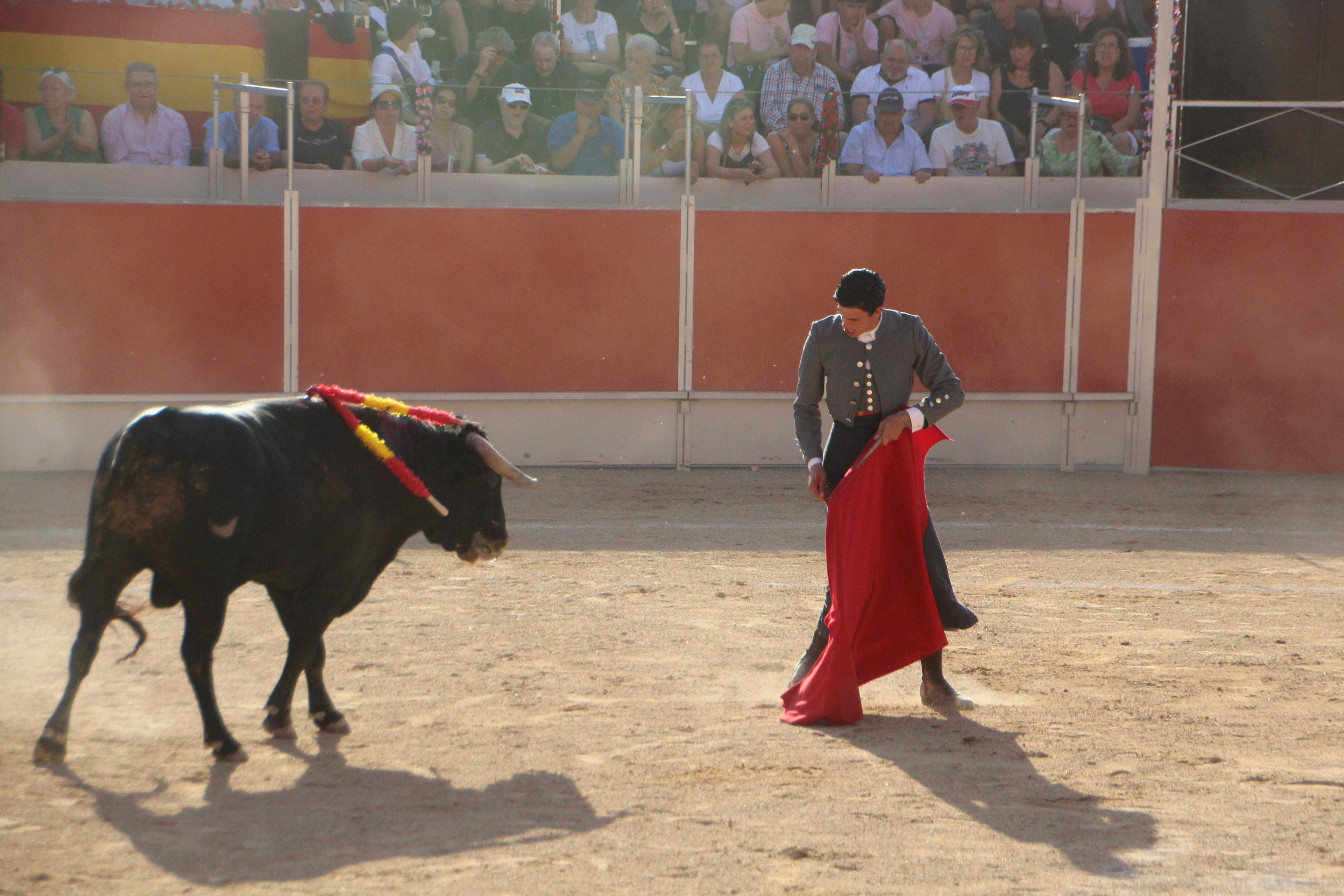 Festejos Taurinos en Baltanás