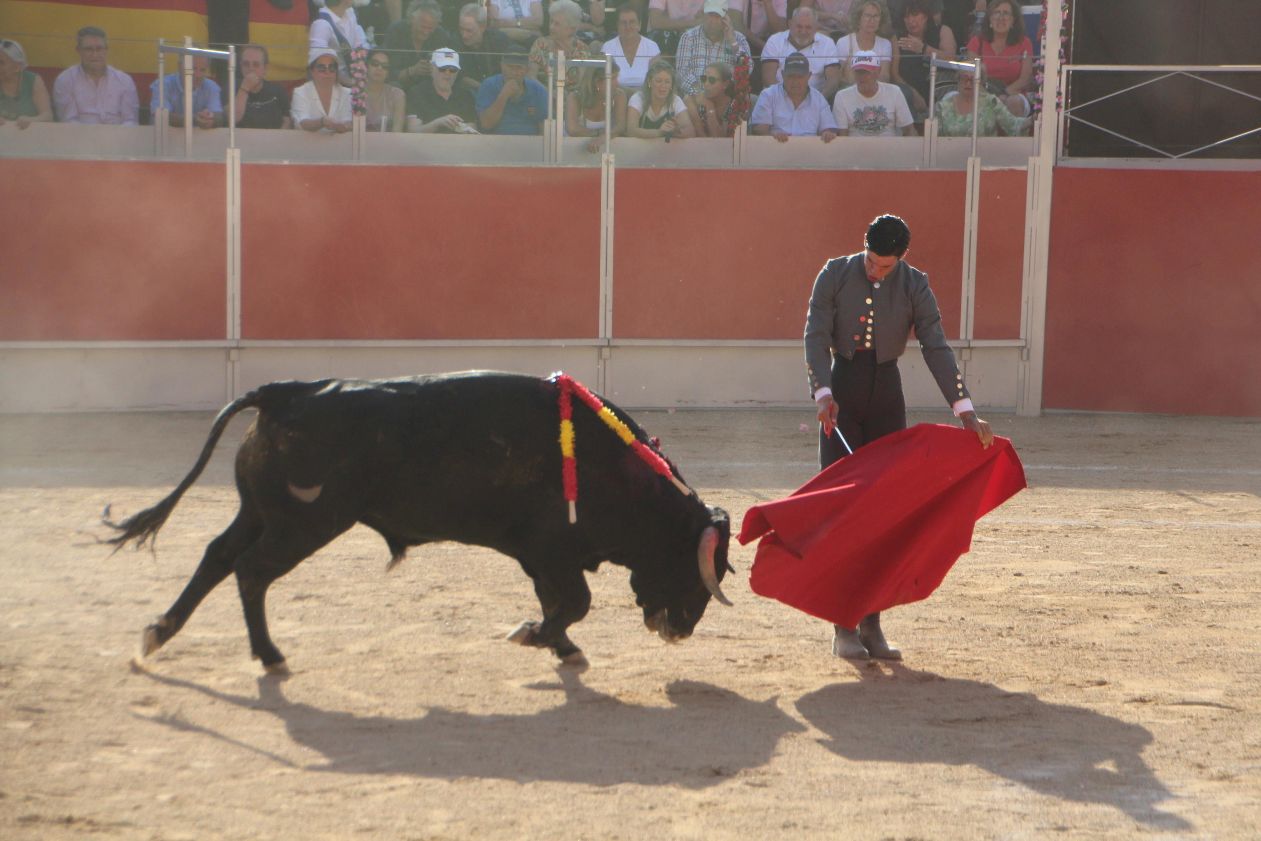 Festejos Taurinos en Baltanás