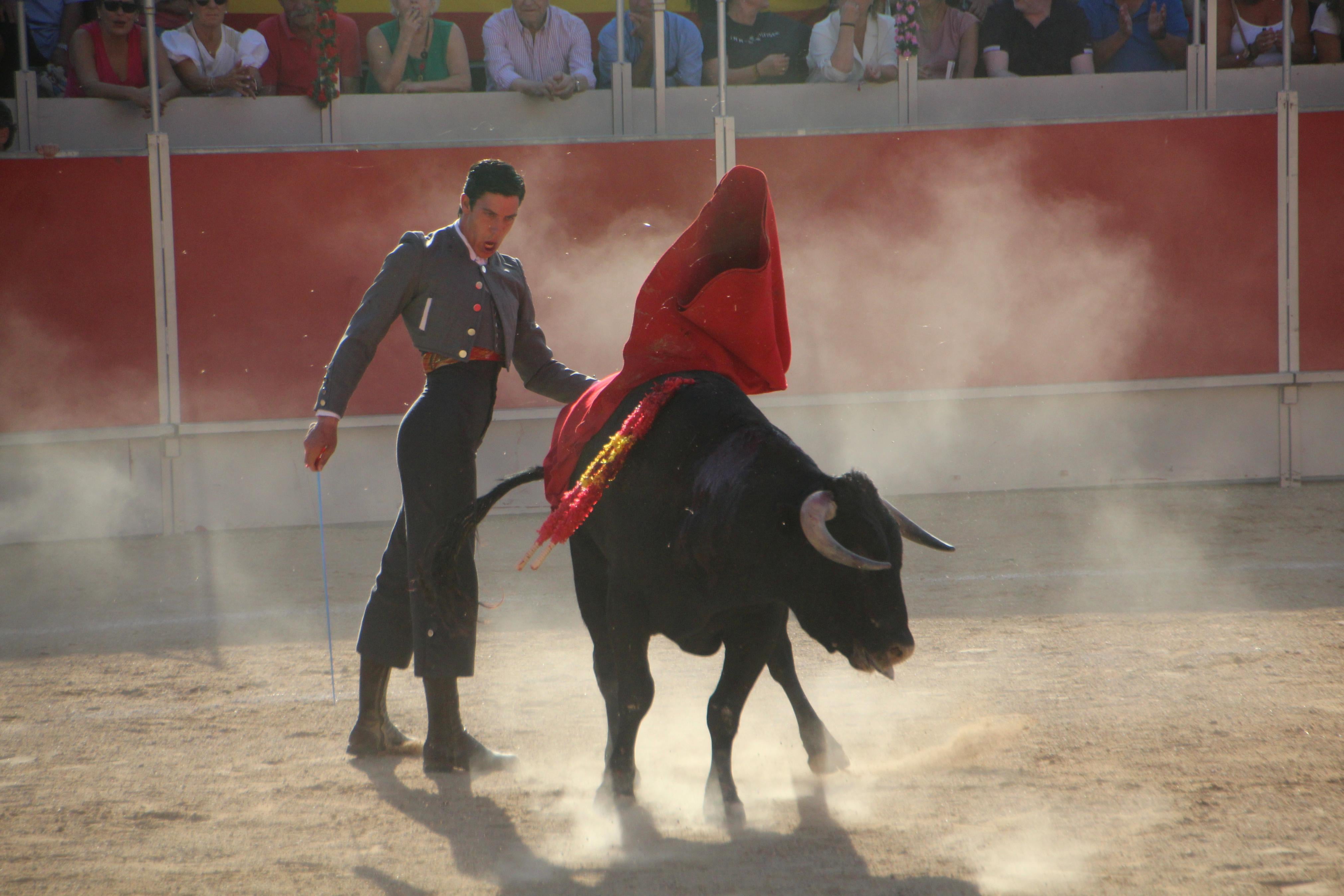 Festejos Taurinos en Baltanás