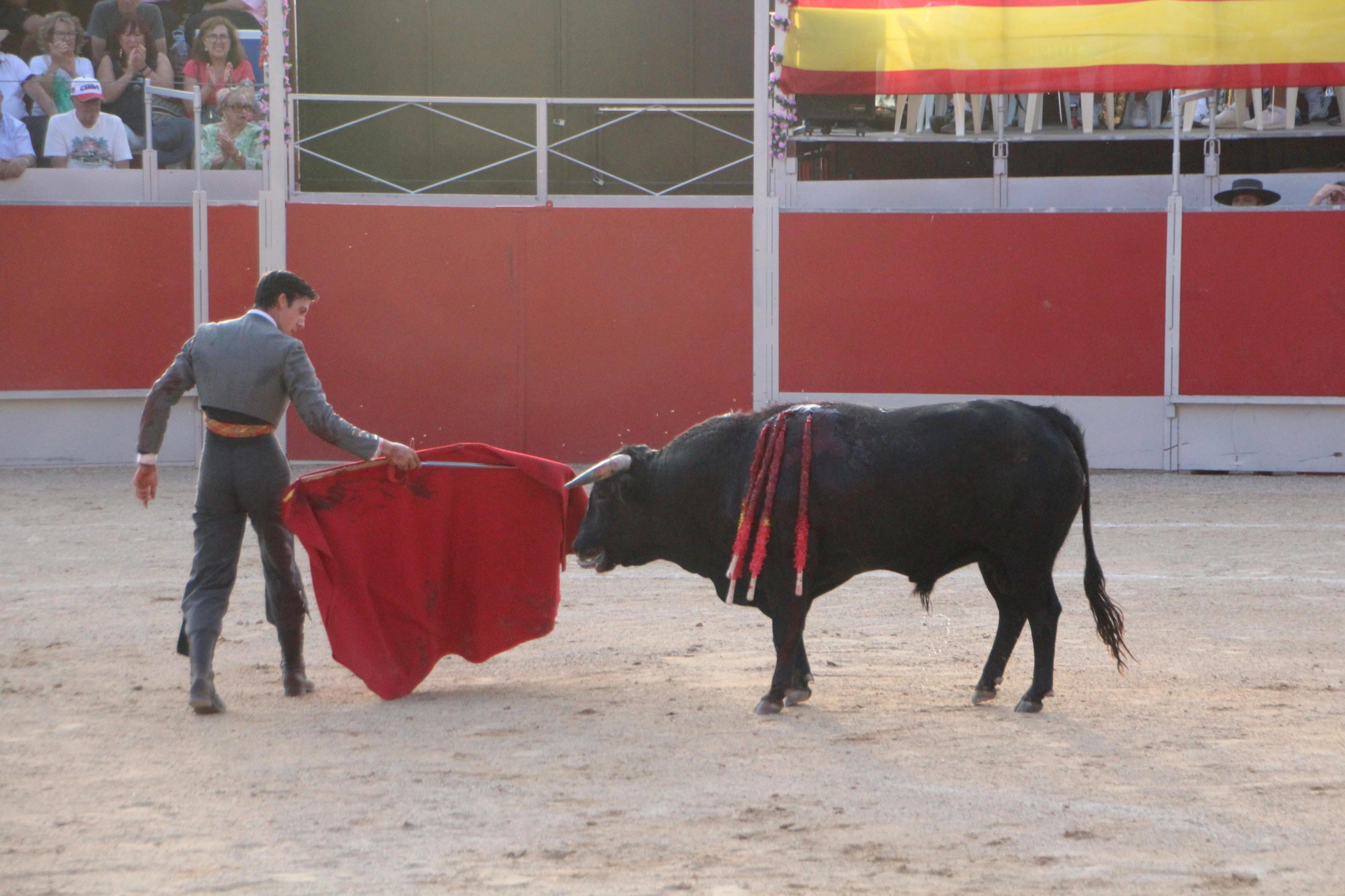 Festejos Taurinos en Baltanás