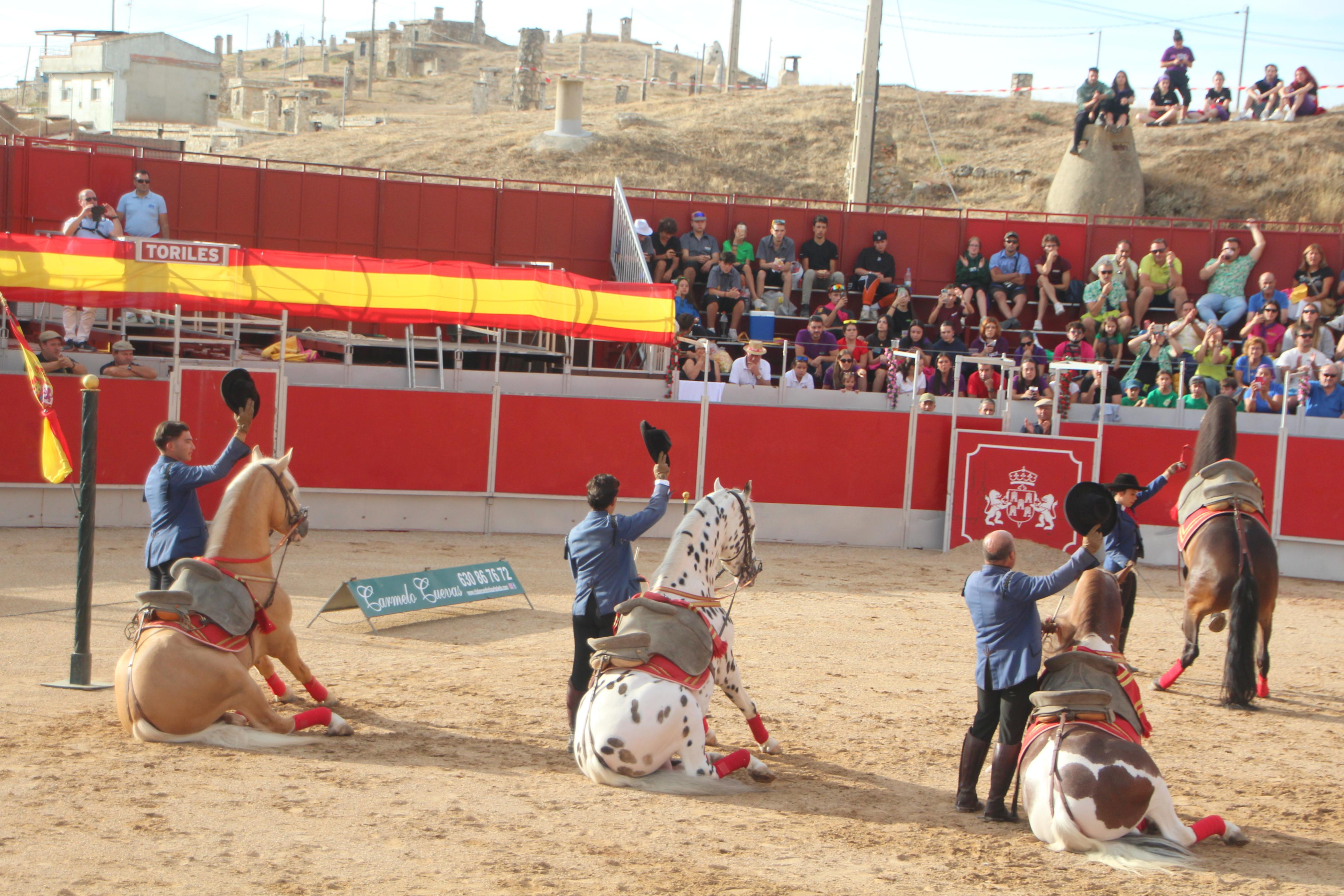 Festejos Taurinos en Baltanás