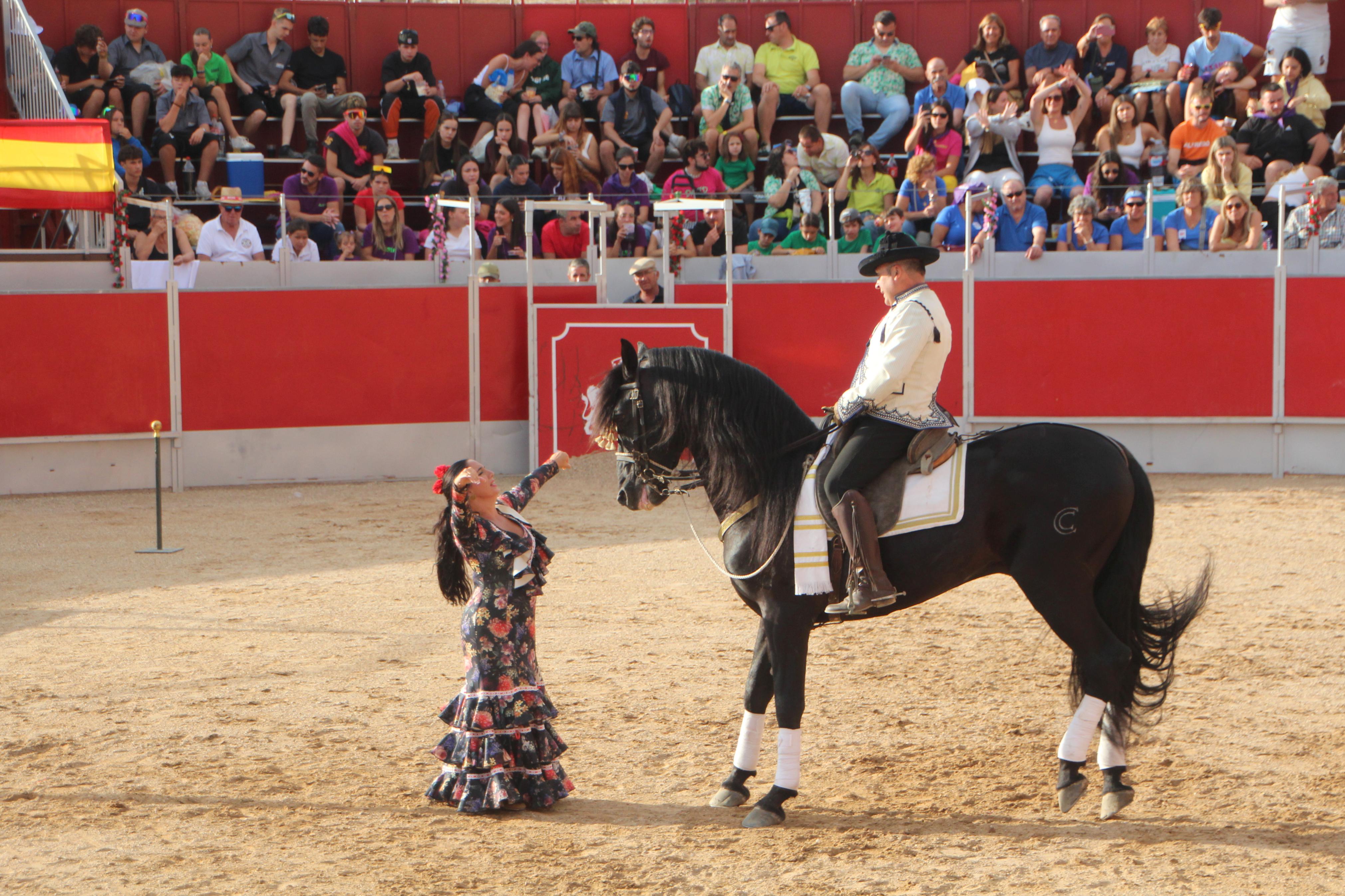Festejos Taurinos en Baltanás
