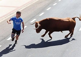 Un toro en las calles de Nava, en una imagen de archivo.