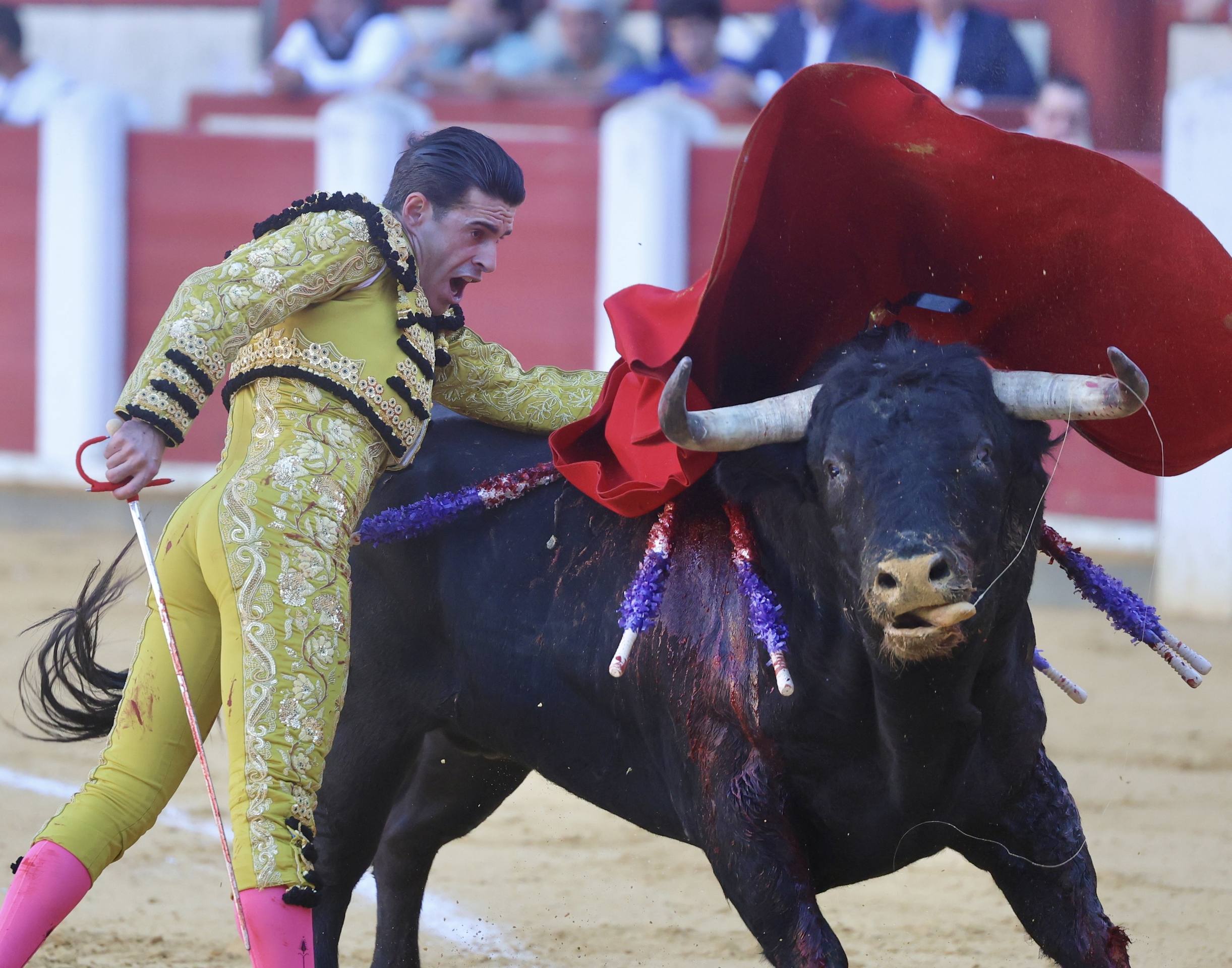 El mano a mano de Talavante y Emilio de Justo, en imágenes