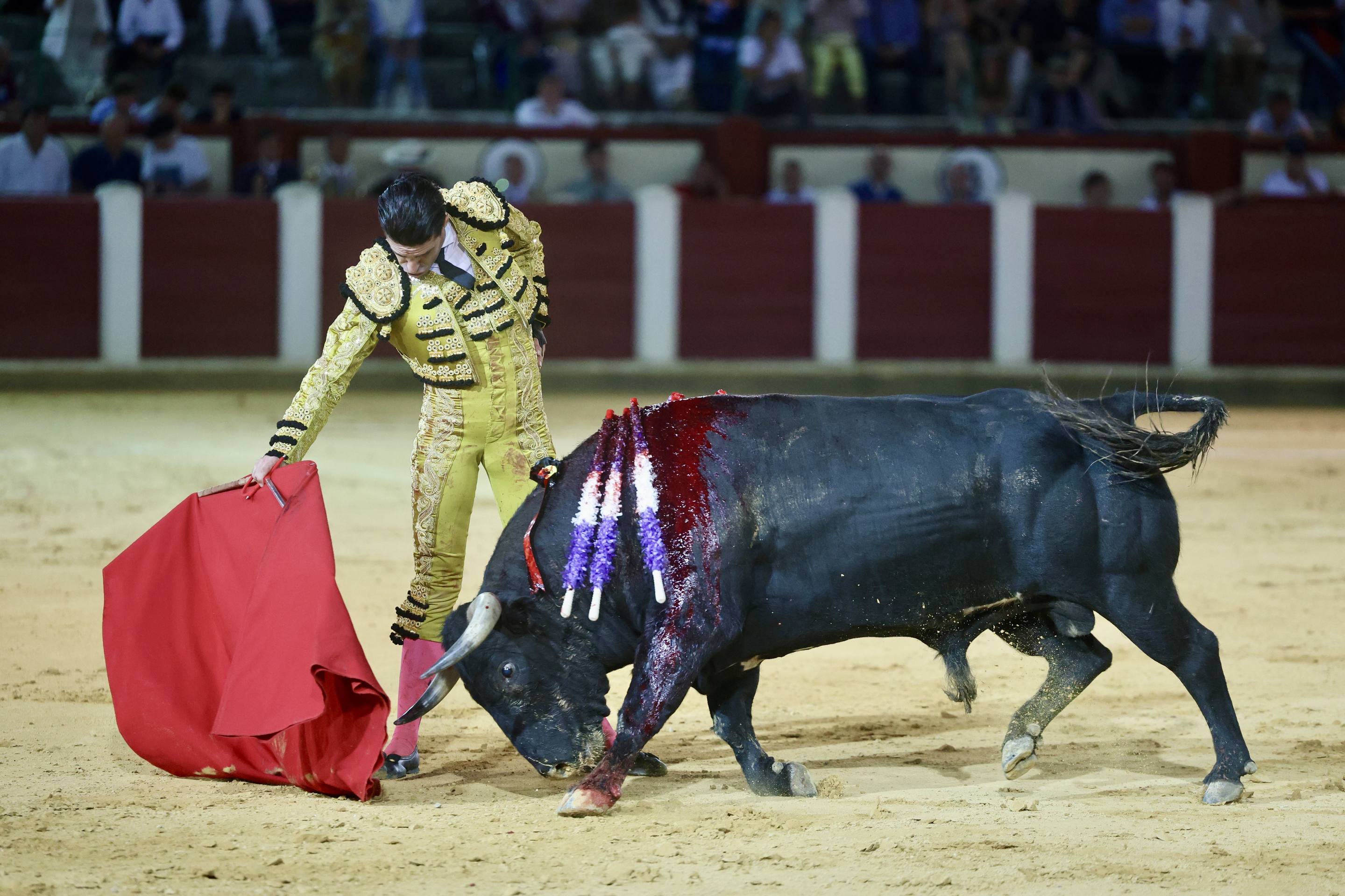 El mano a mano de Talavante y Emilio de Justo, en imágenes