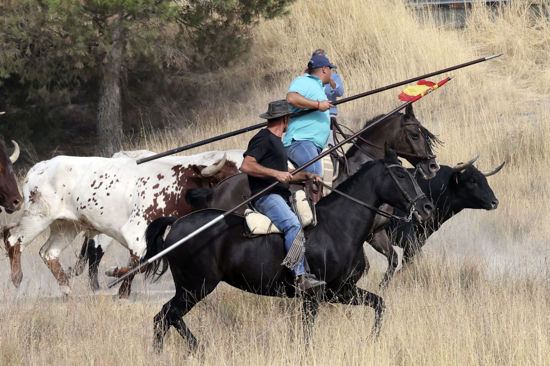 El encierro de Portillo, en imágenes