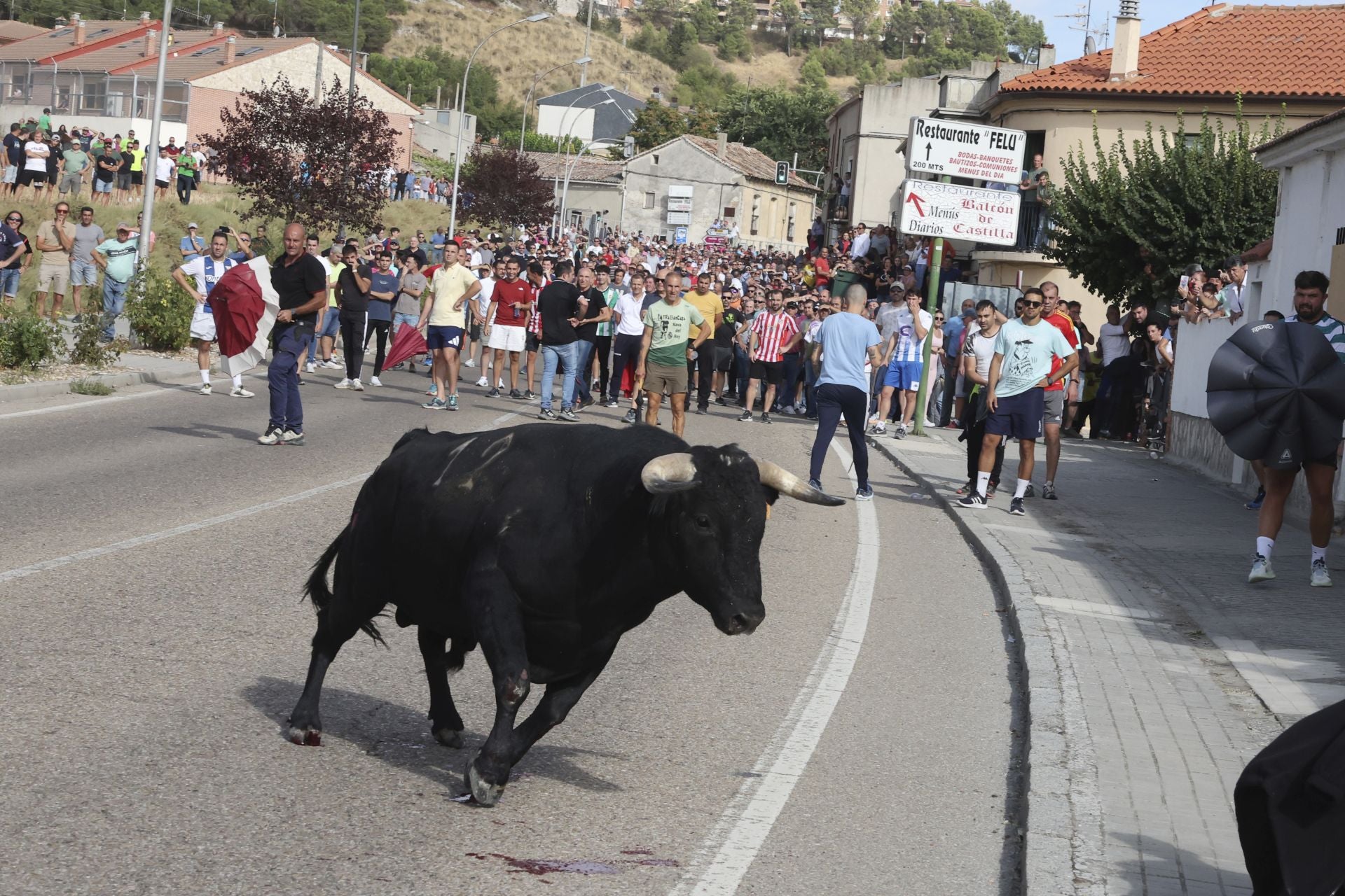 El encierro de Portillo, en imágenes