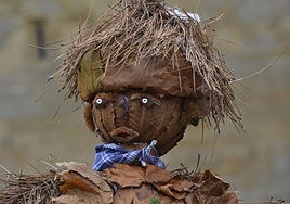 Espantapájaros en sombra