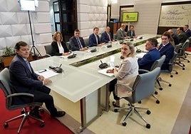 Reunión entre el presidente de la Junta, Alfonso Fernández Mañueco, y los presidentes de las diputaciones provinciales.
