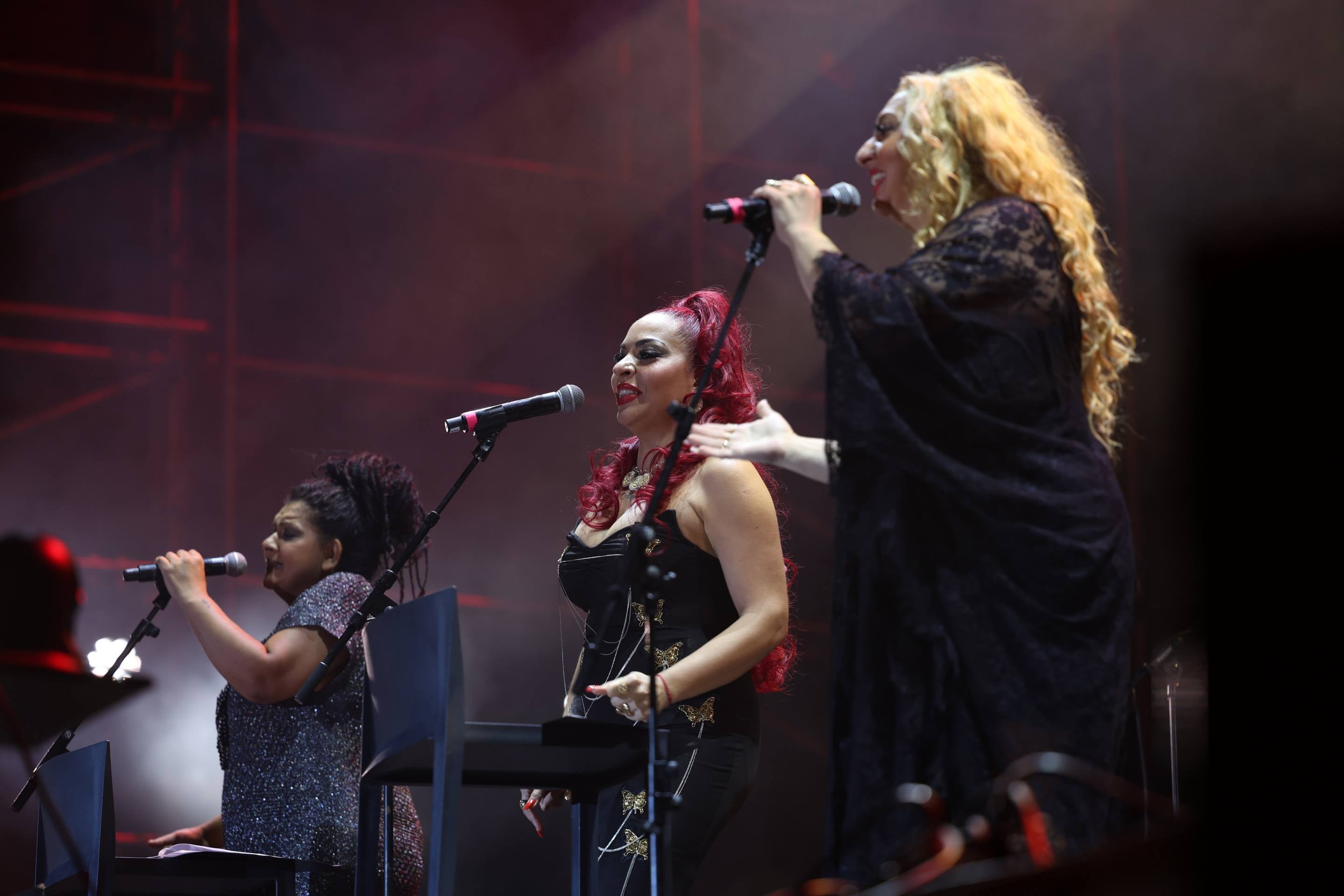 Las imágenes del concierto de la Familia Camarón