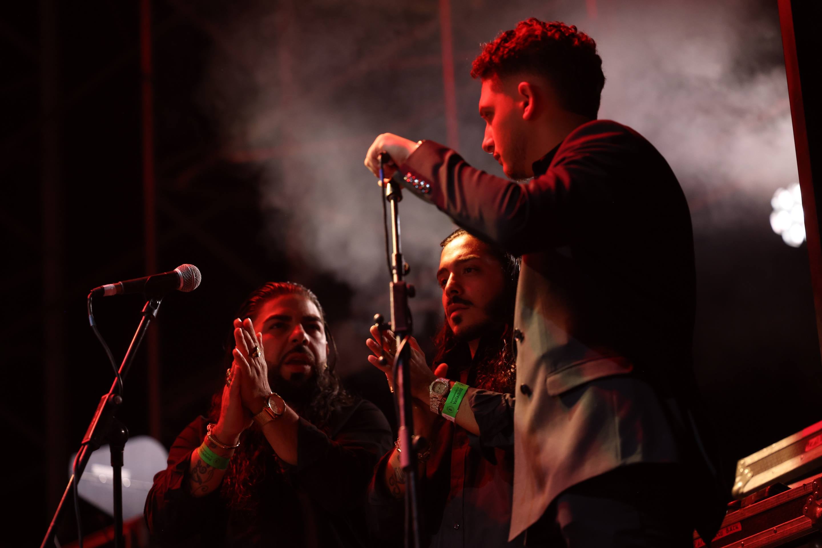 Las imágenes del concierto de la Familia Camarón