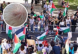 Banderas de Palestina este jueves durante la contrarreloj de la Vuelta en Valladolid. En el círculo, agresión a uno de los manifestantes que denuncia Izquierda Castellana.