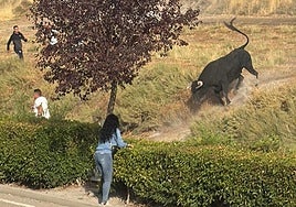 Una mujer cita al astado en la zona de la gasolinera de Arrabal.