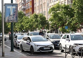Taxis a la espera de clientes en la parada de Puente Colgante de Valladolid este sábado.
