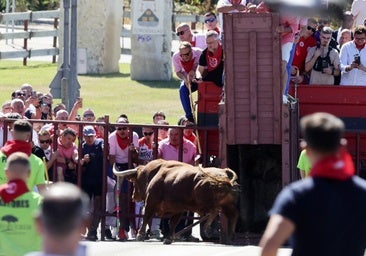 Tordesillas vibra con un imponente toro del cajón de 550 kilos