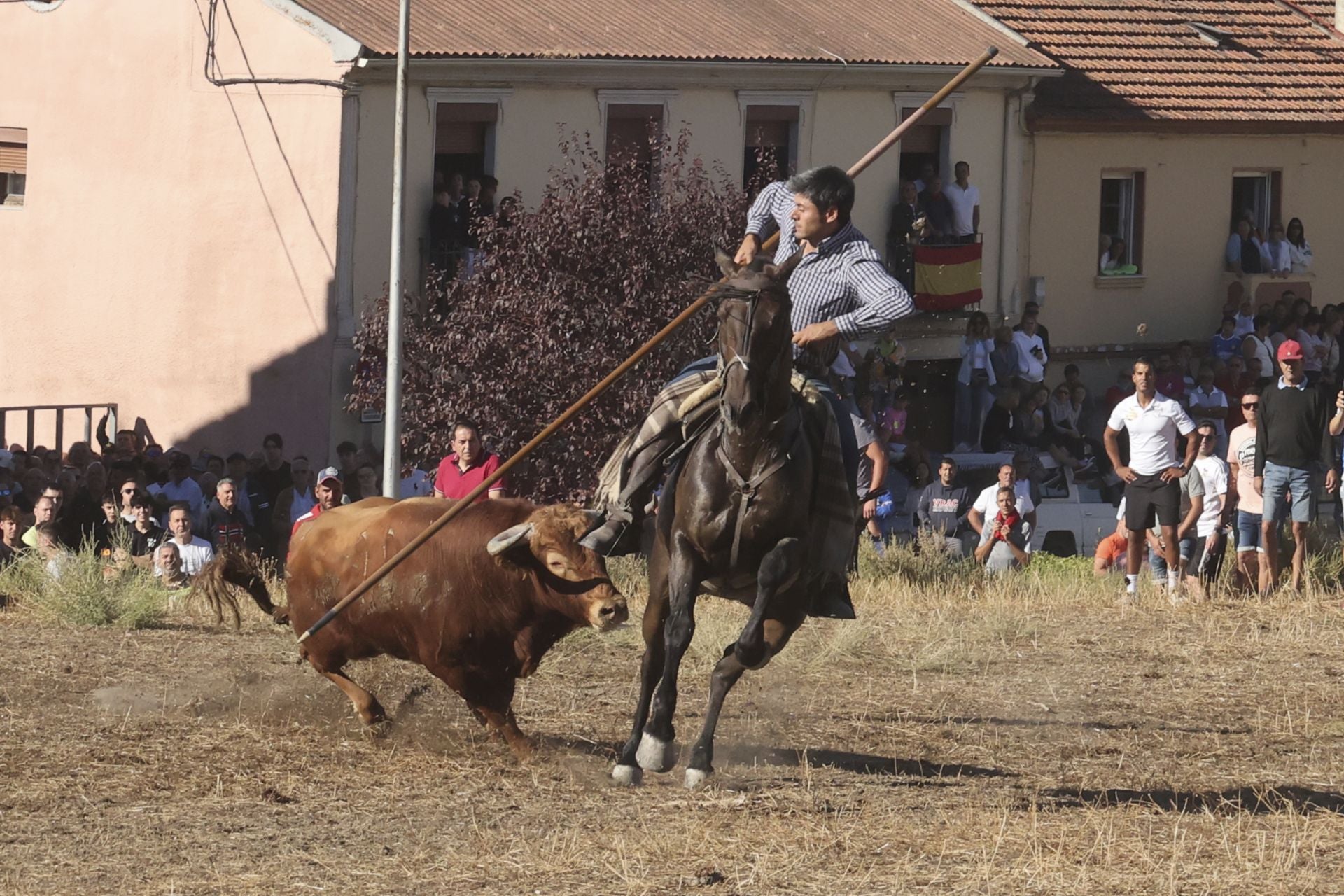 Las imágenes del último encierro en Arrabal de Portillo