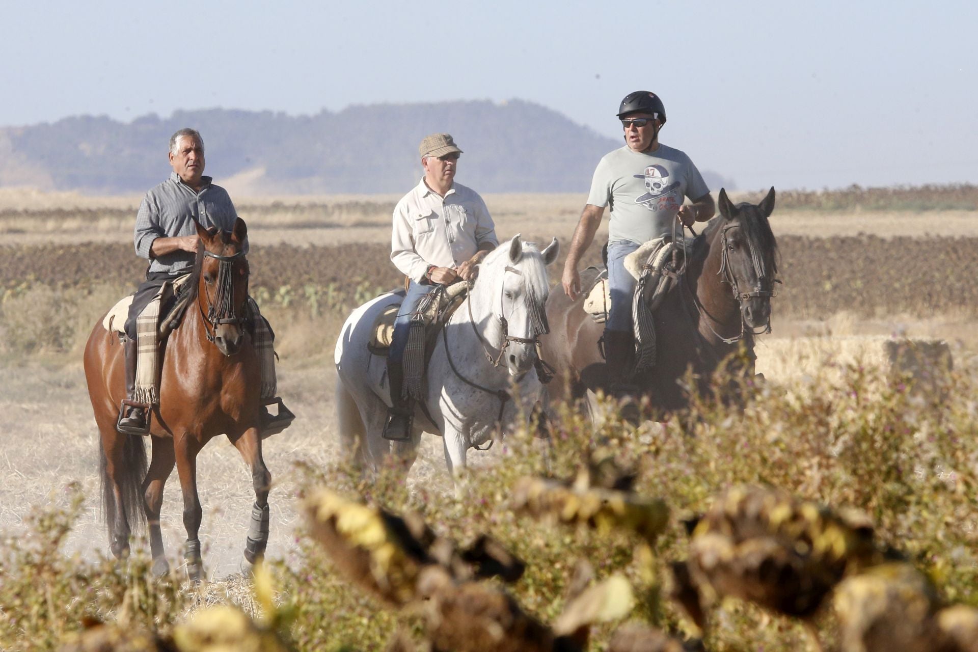 Las imágenes del último encierro en Arrabal de Portillo