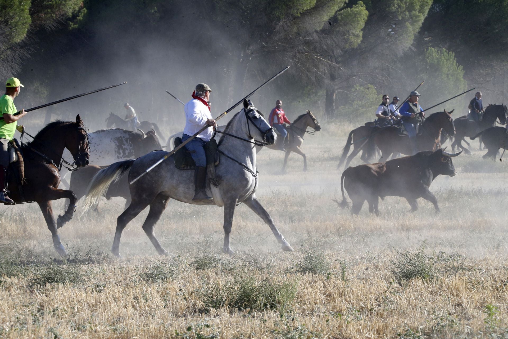Las imágenes del último encierro en Arrabal de Portillo