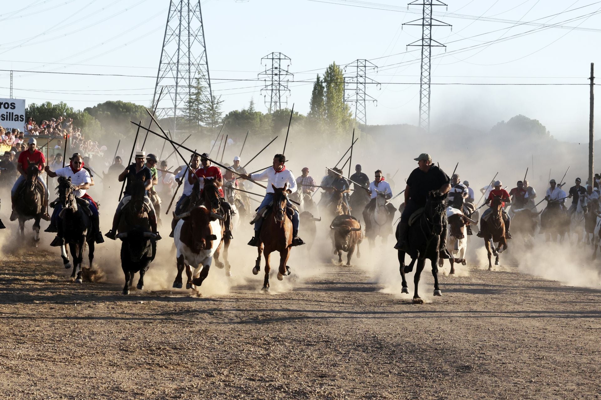 El encierro de campo de Tordesillas en imágenes
