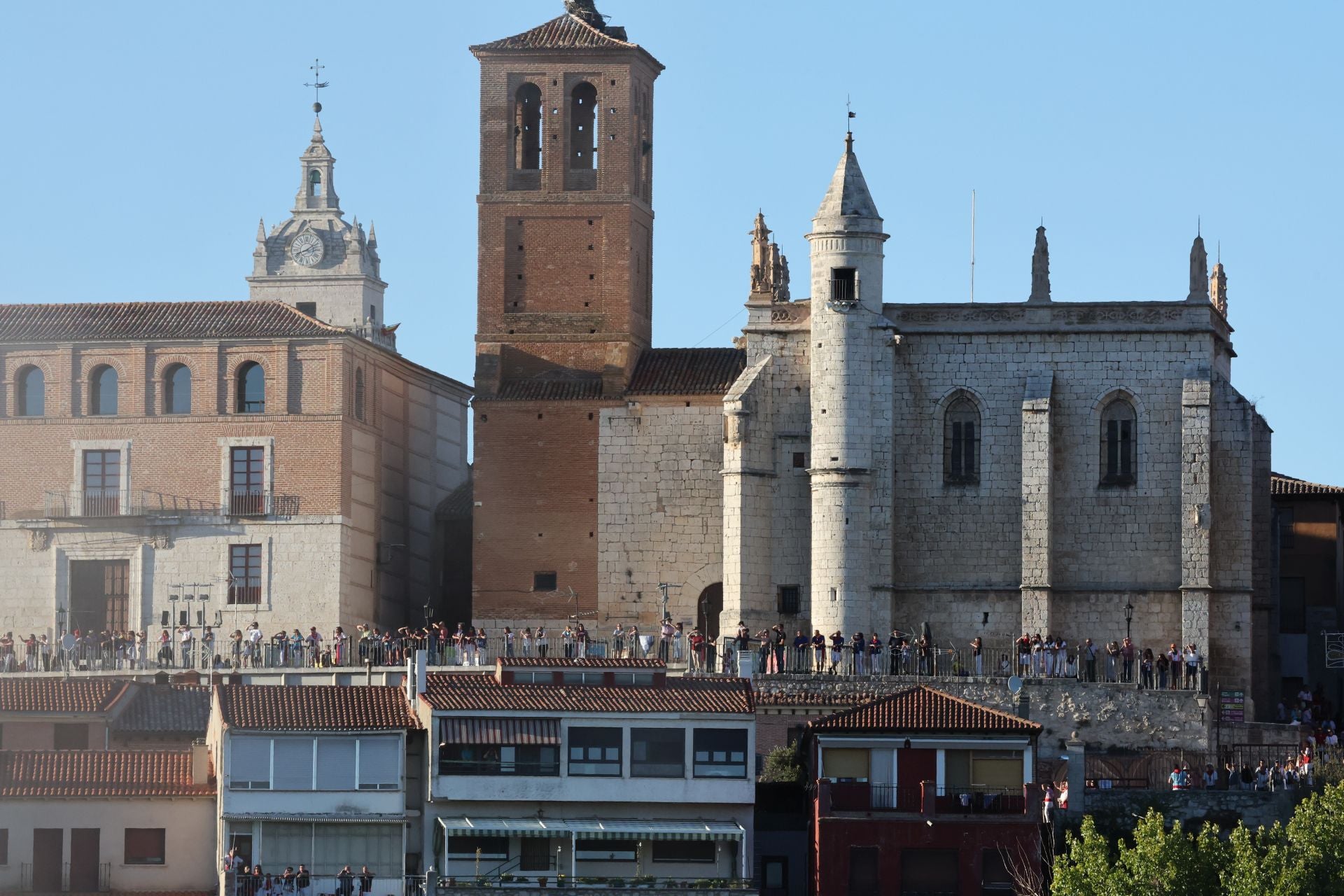 El encierro de campo de Tordesillas en imágenes