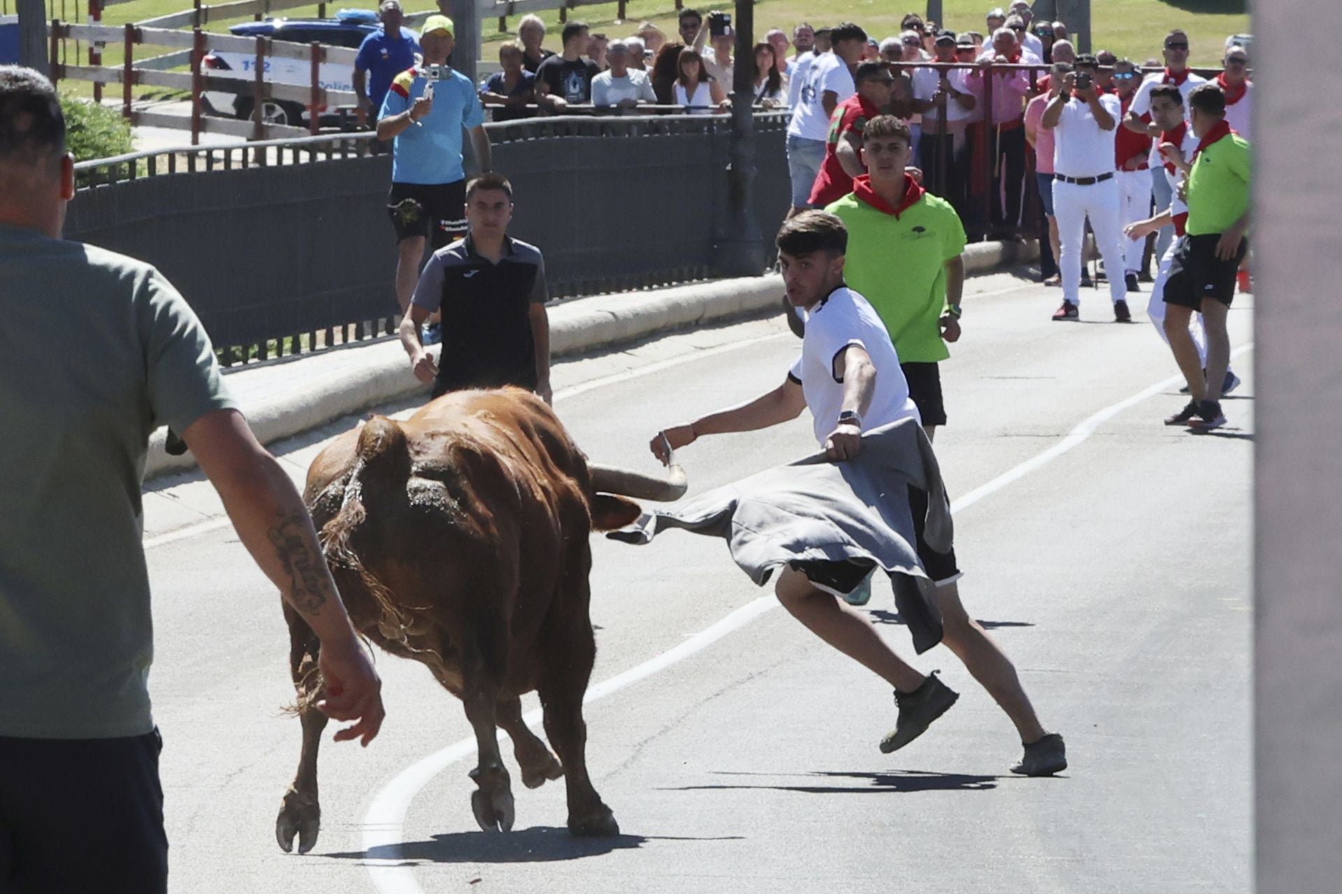 Las imponentes imágenes del toro de cajón en Tordesillas