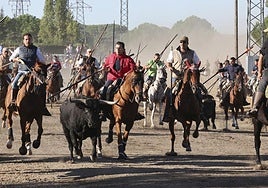El segundo encierro de las fiestas de Tordesillas se ha celebrado este lunes por la mañana.