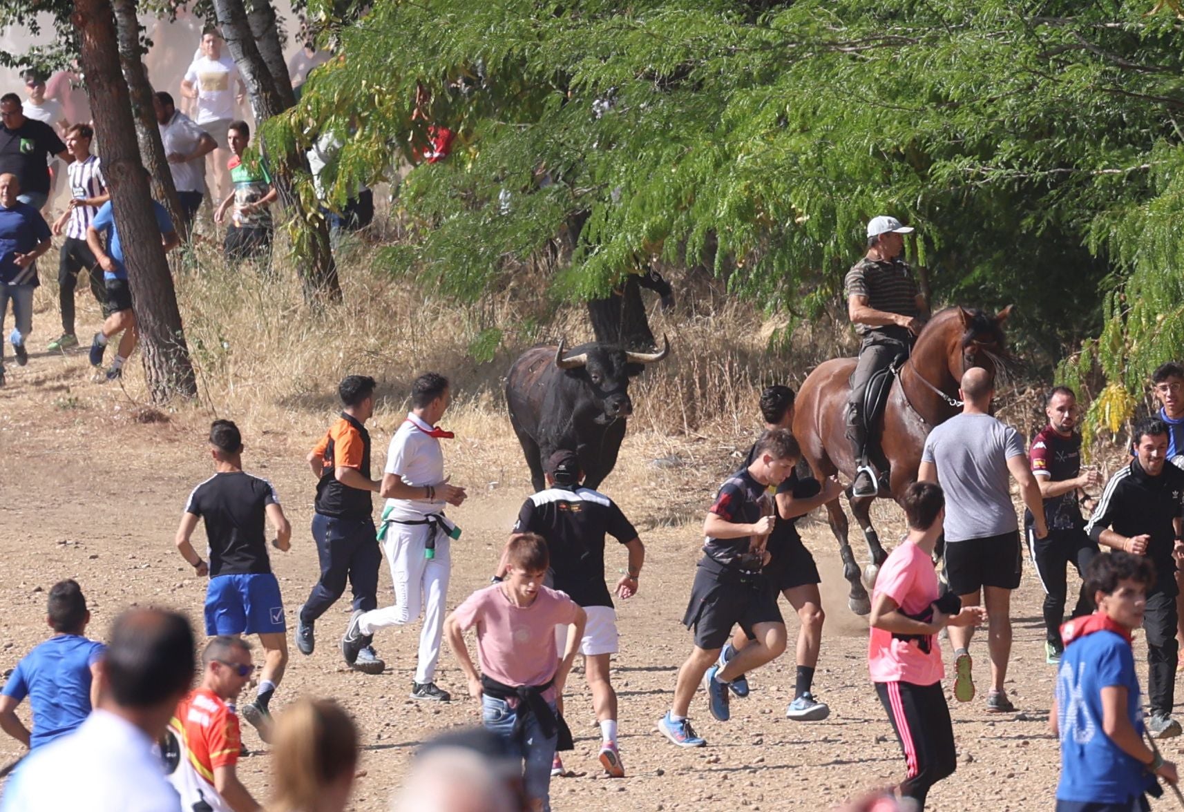 Las imágenes del Toro de la Vega