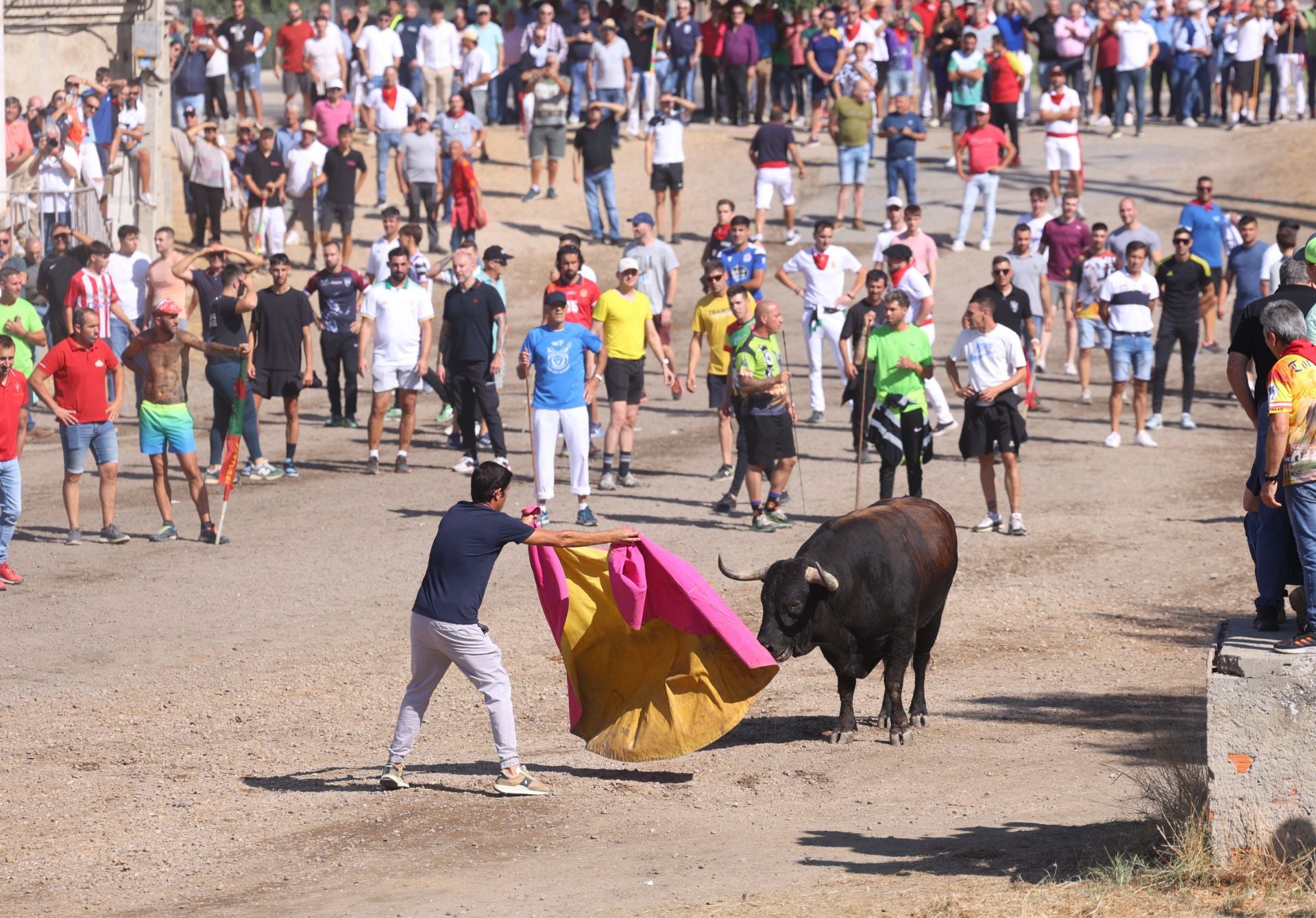 Las imágenes del Toro de la Vega