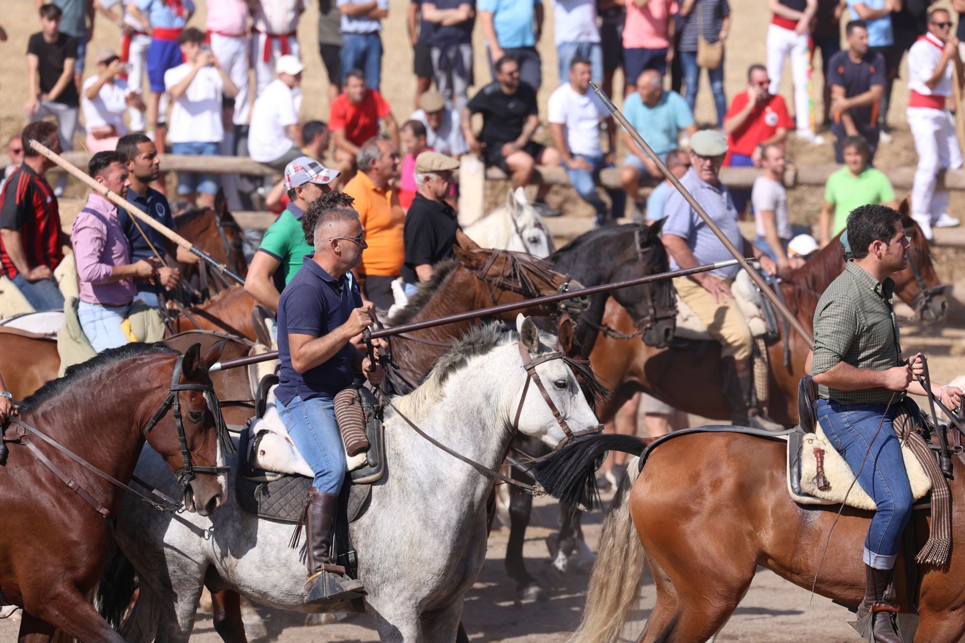 Las imágenes del Toro de la Vega
