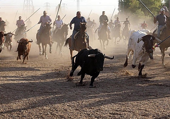 Imágenes del encierro mixto este martes por la tarde en Tordesillas