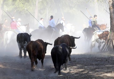 Los Ave María vuelan en el encierro de Tordesillas