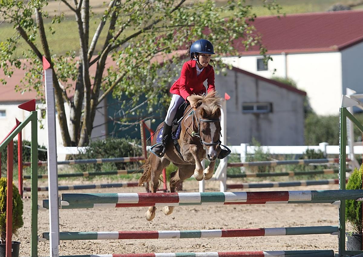 Imagen secundaria 1 - Castilla y León ya tiene sus campeones de saltos de ponis 2025